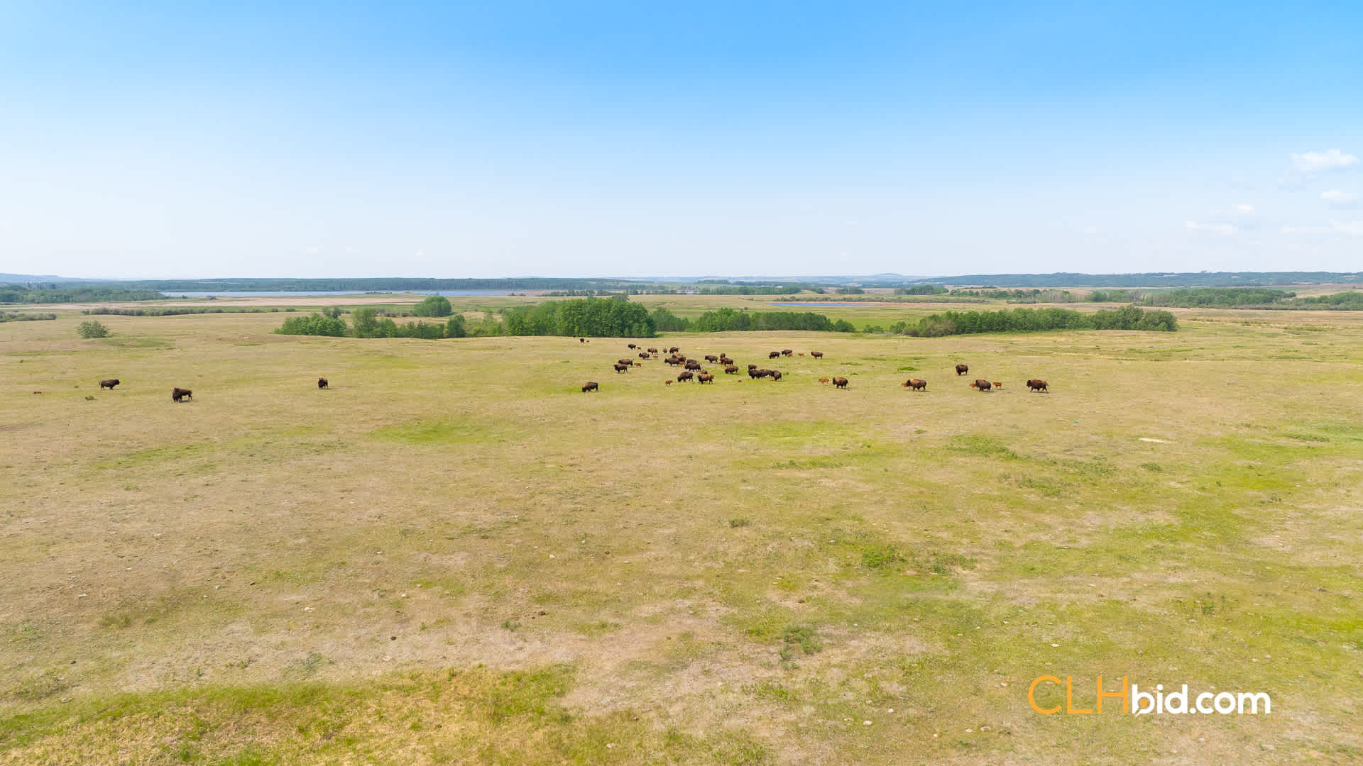 View from above of Paradise Hill Bison Ranch