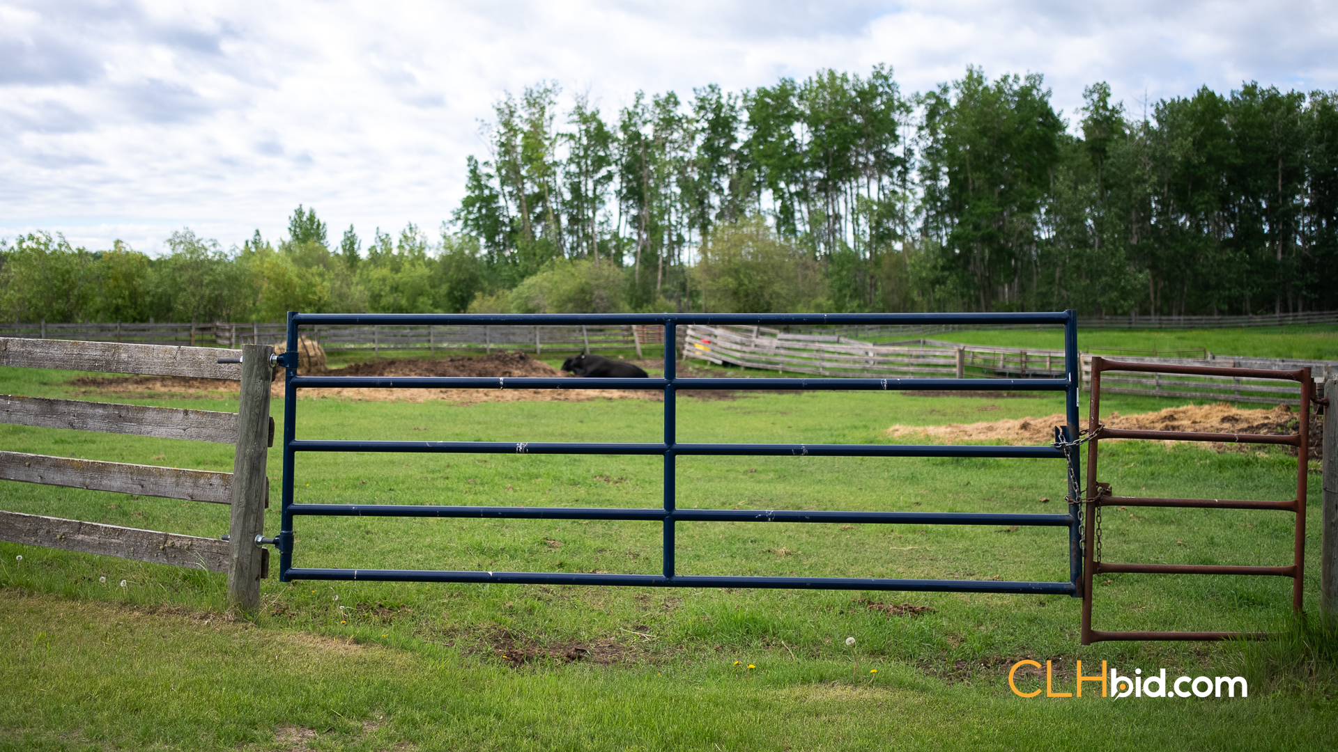 Web The Cattle Crossing-48