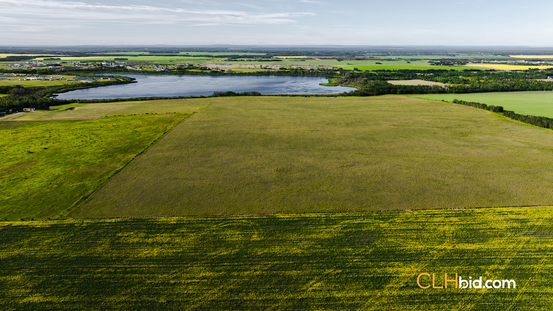 Web Rare Opportunity Dimsdale-1