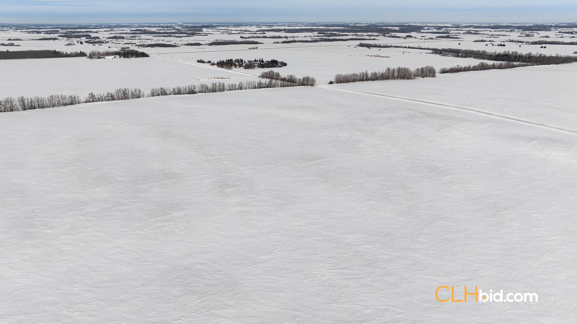 Web-LamontTopGrade-22