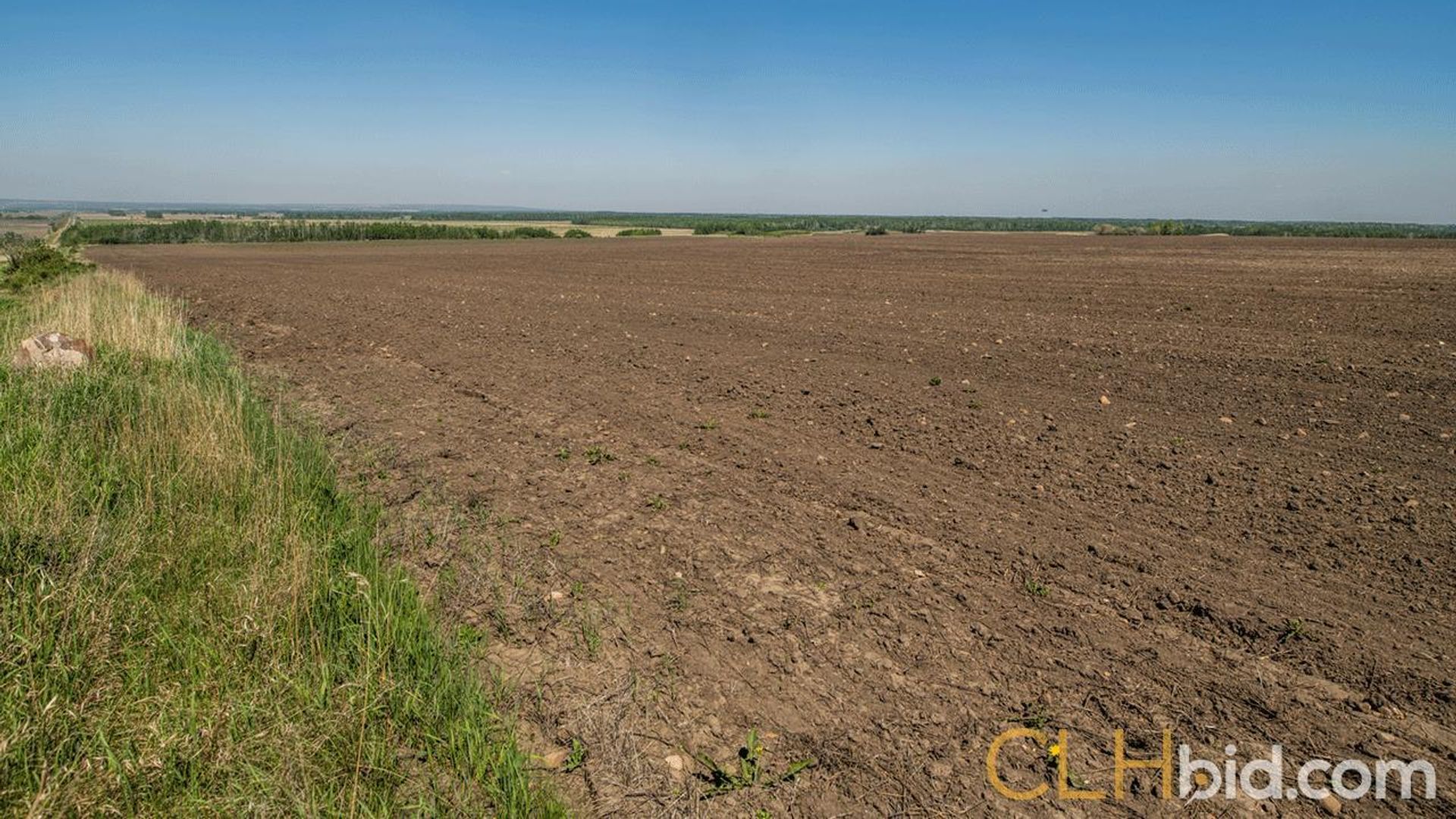 kleskunhillsranchmartineaufarms-13-2