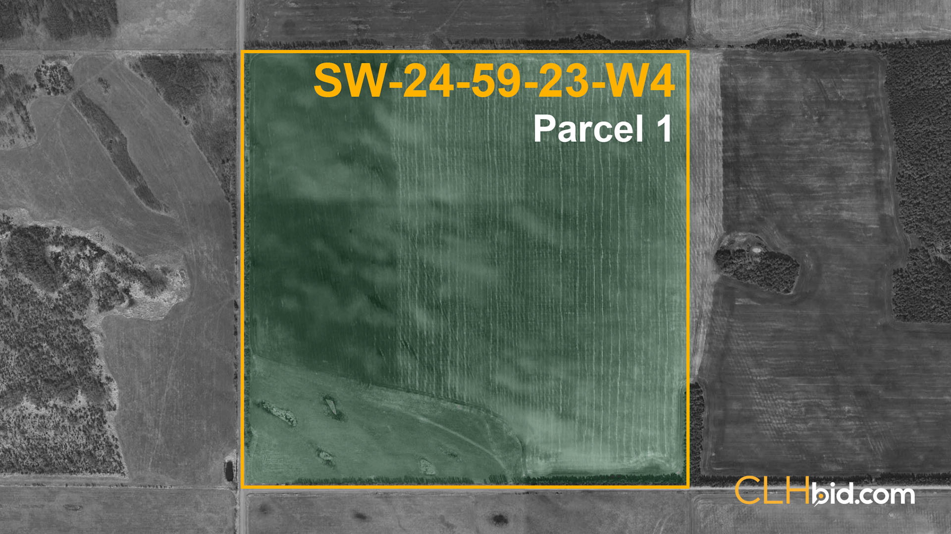 P1 Emil Bliss - WIDE - Contentful