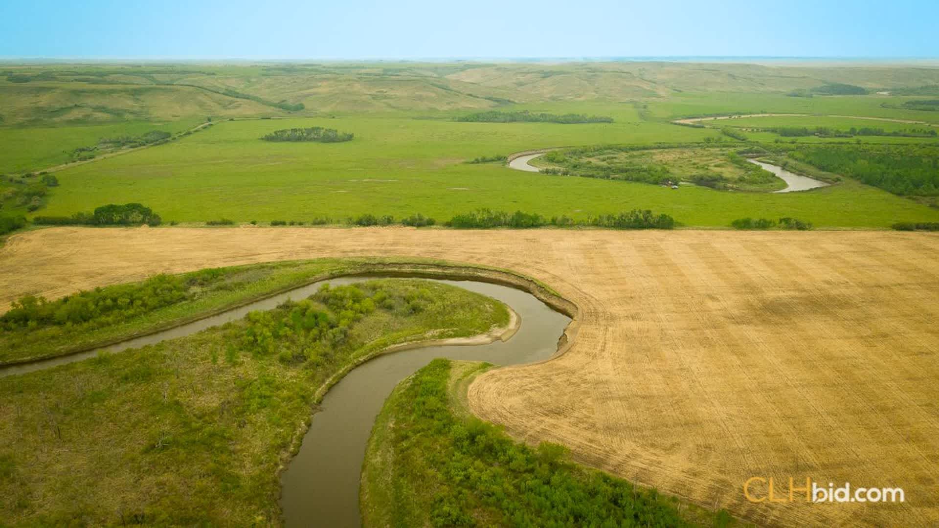 ilazytranch-4-1