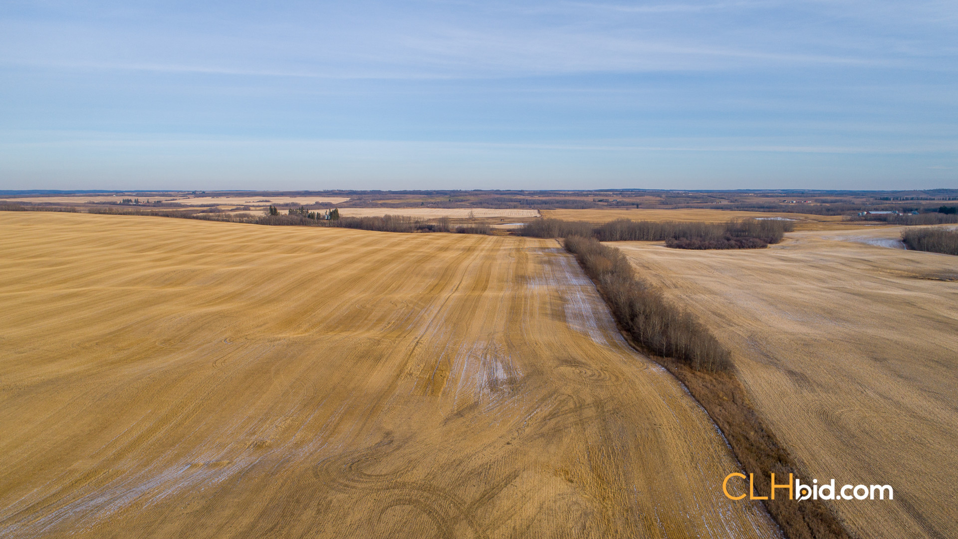 Web-Top-Shelf-160-11