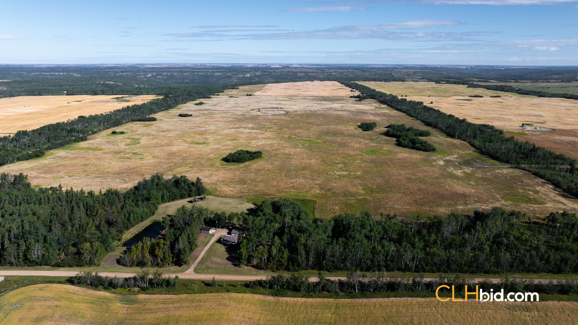 Web Veteran Legacy-14