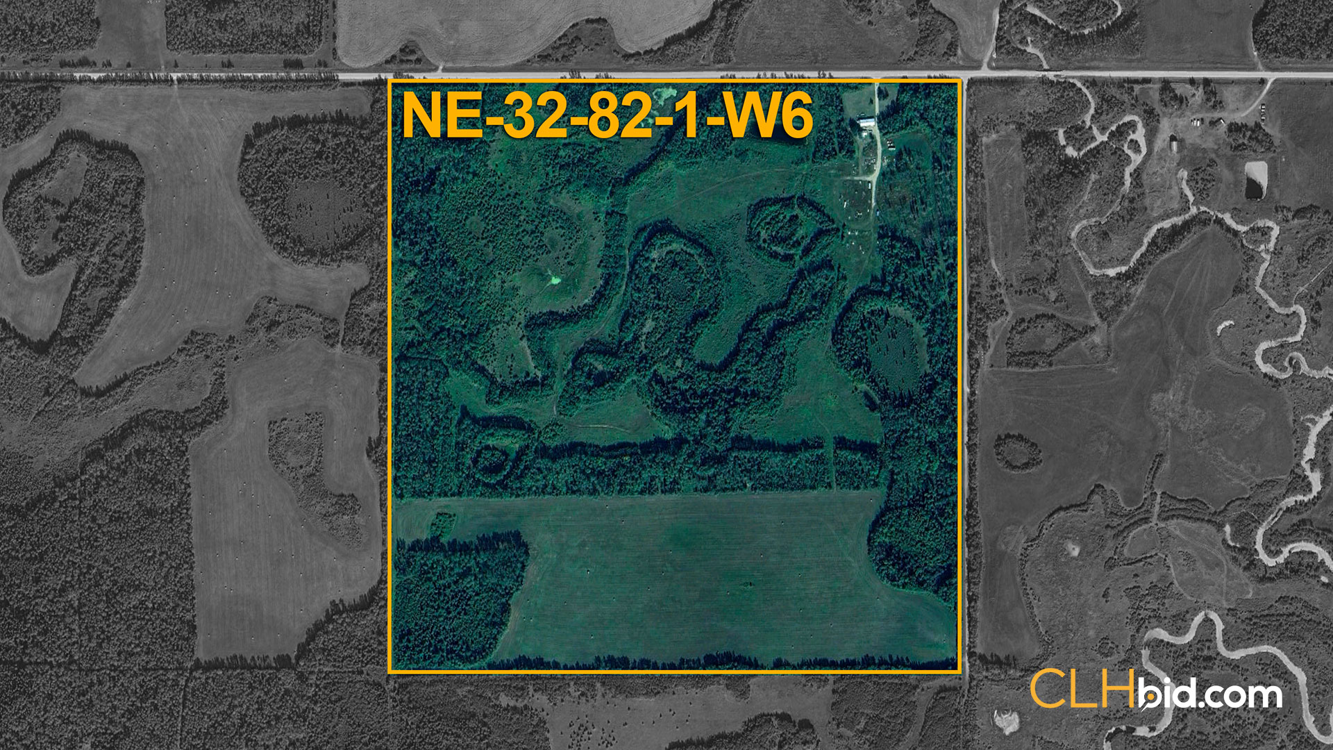 Web Talking Trees Aerial