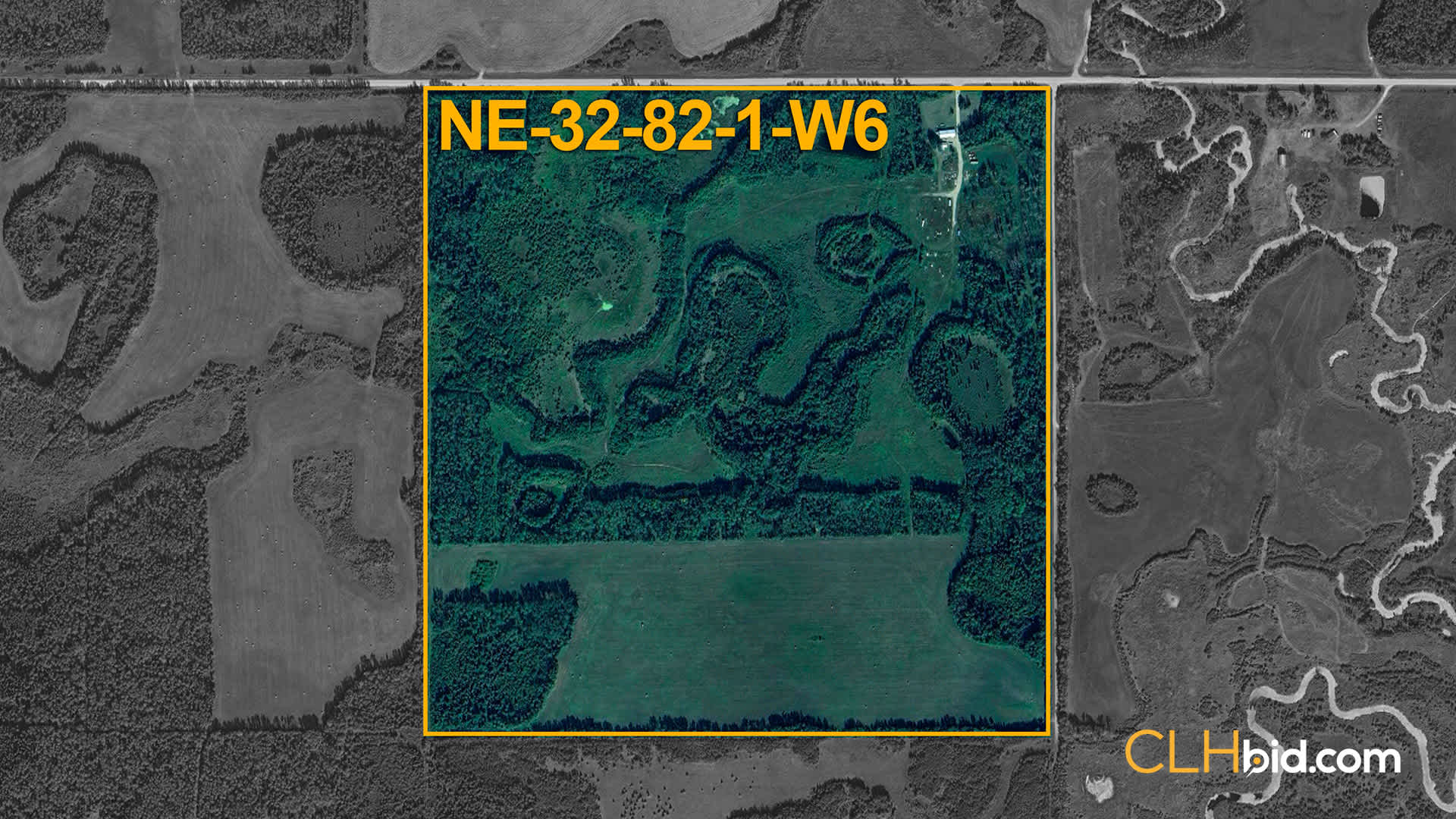 Web Talking Trees Aerial