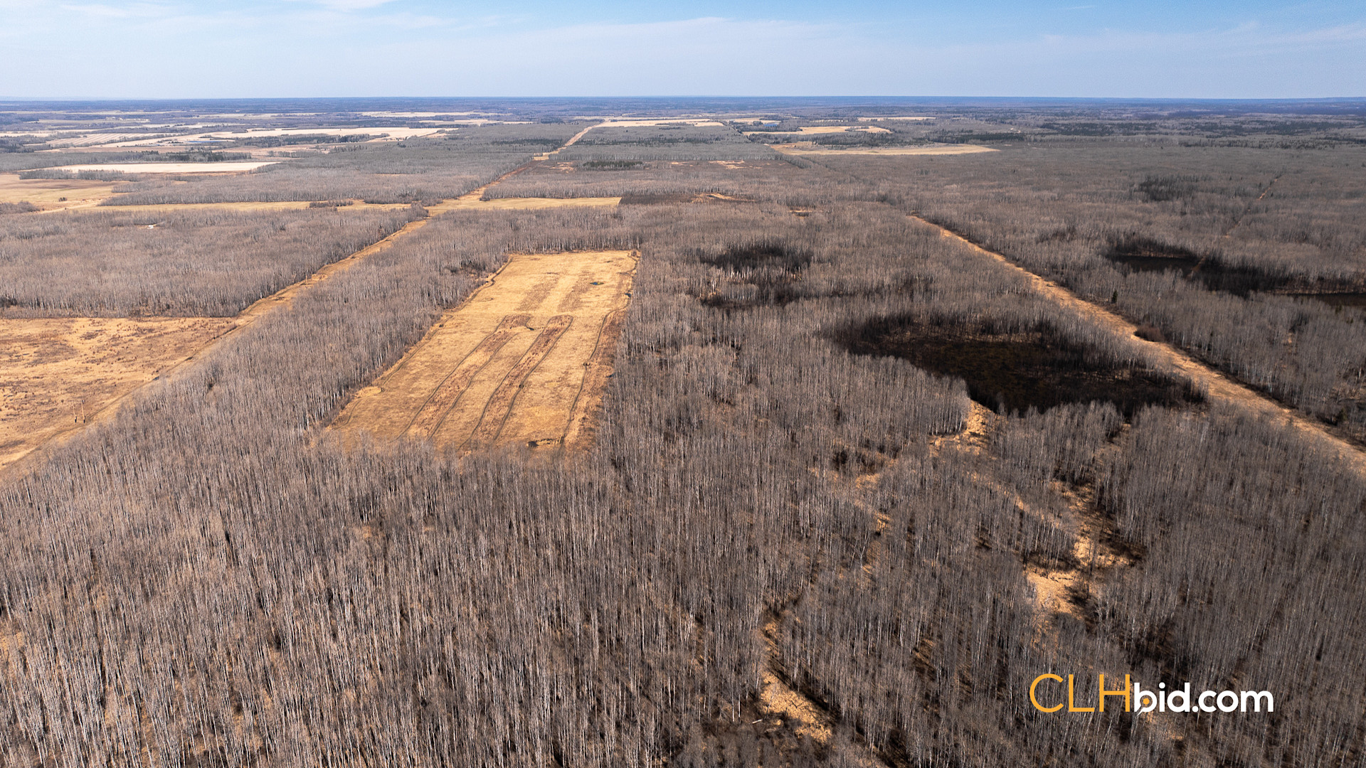 Web Sunrise Igniter Spring-5