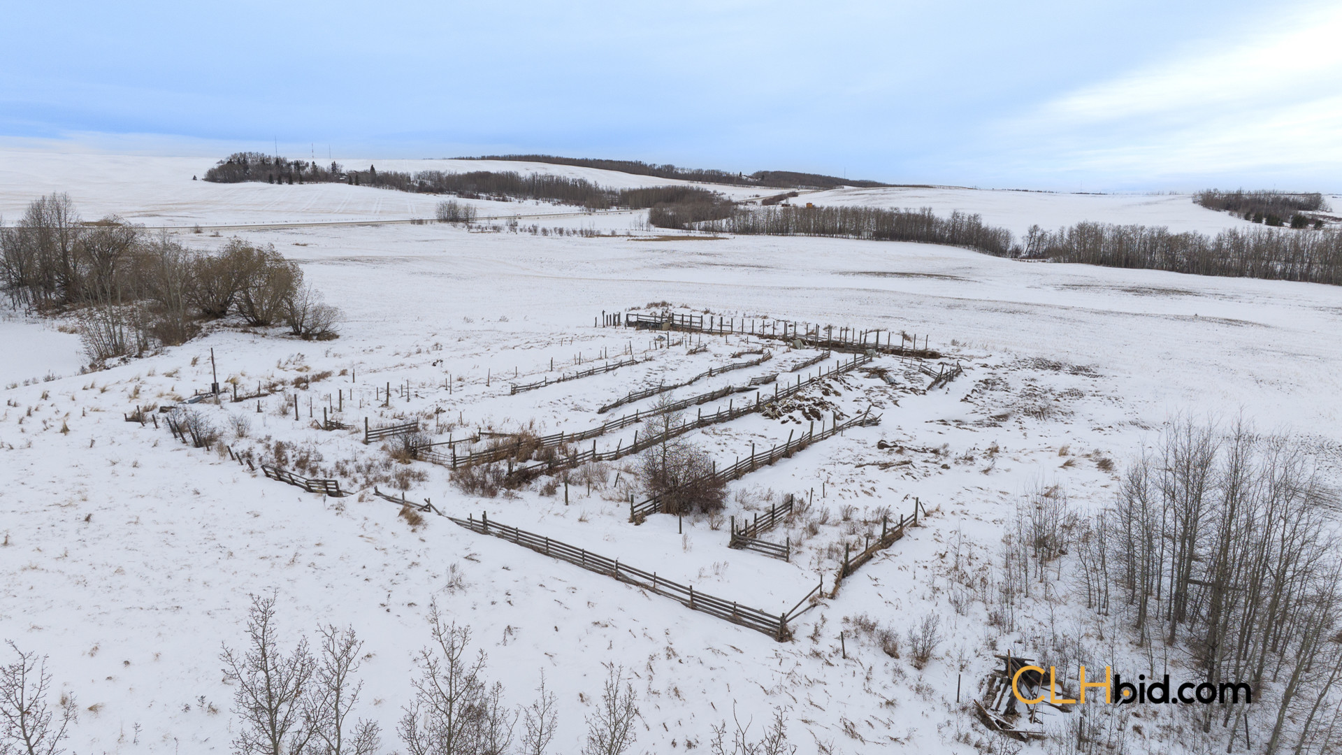 EliteStatus3-Web169-8