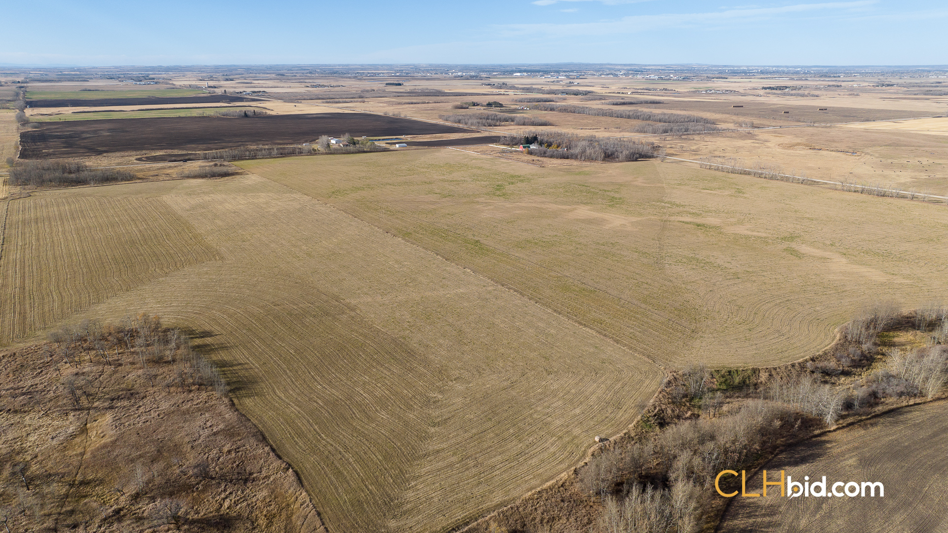 P2 EliteStatusWeb-24