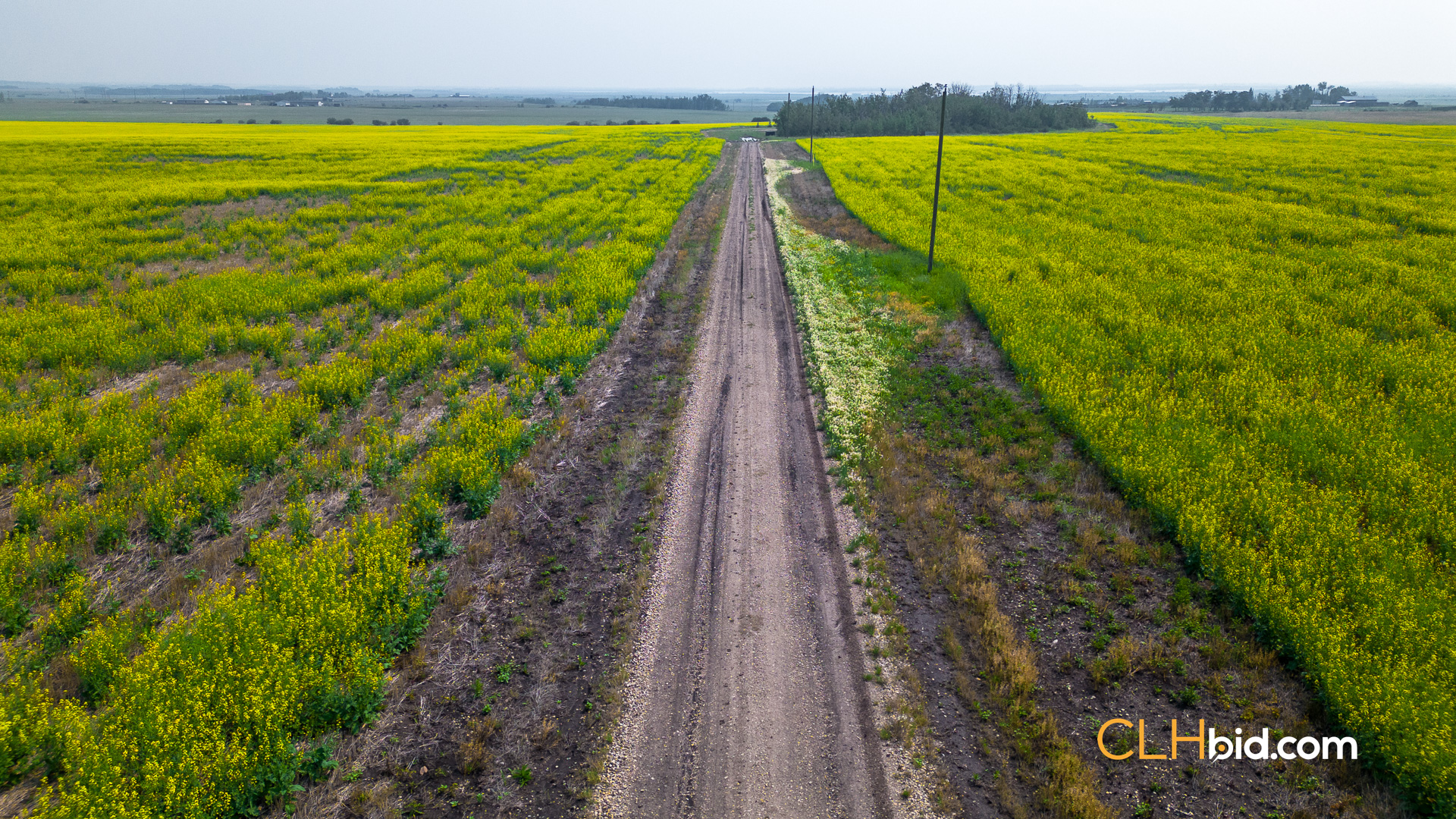 Web Sexsmith Serenity-5