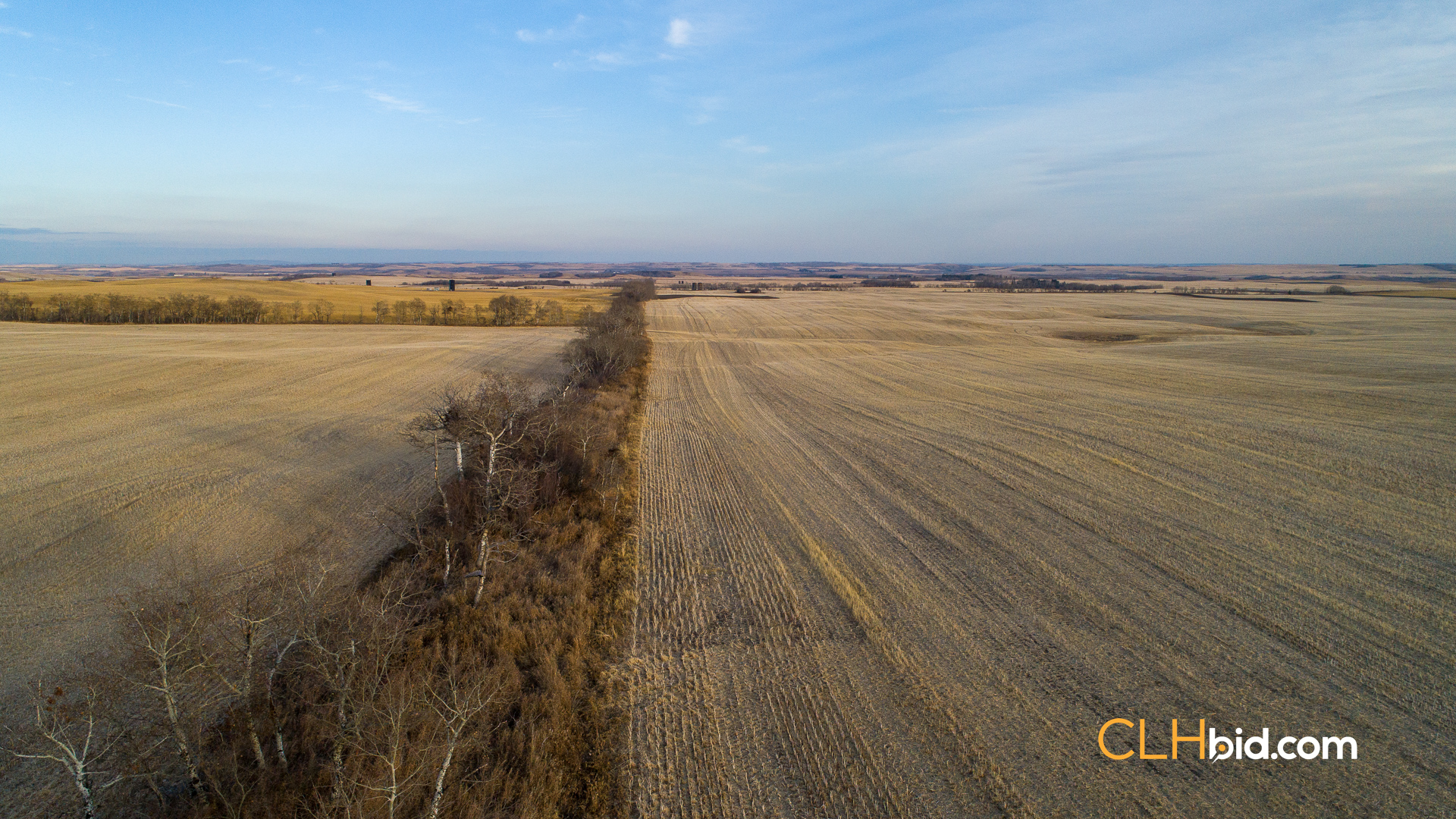 Web-Nine-Of-Diamonds-41