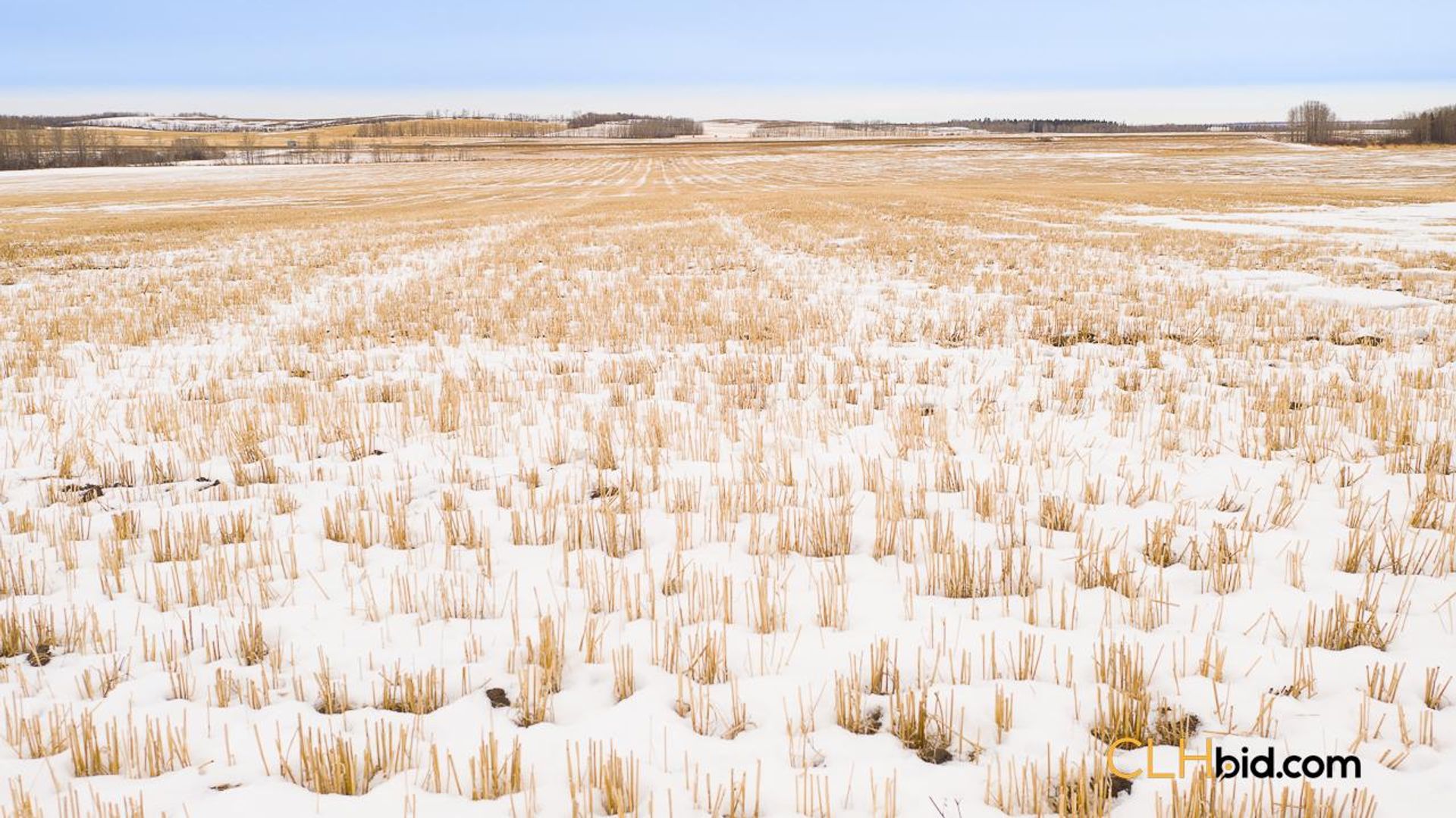 lincolnroadselect-2-3