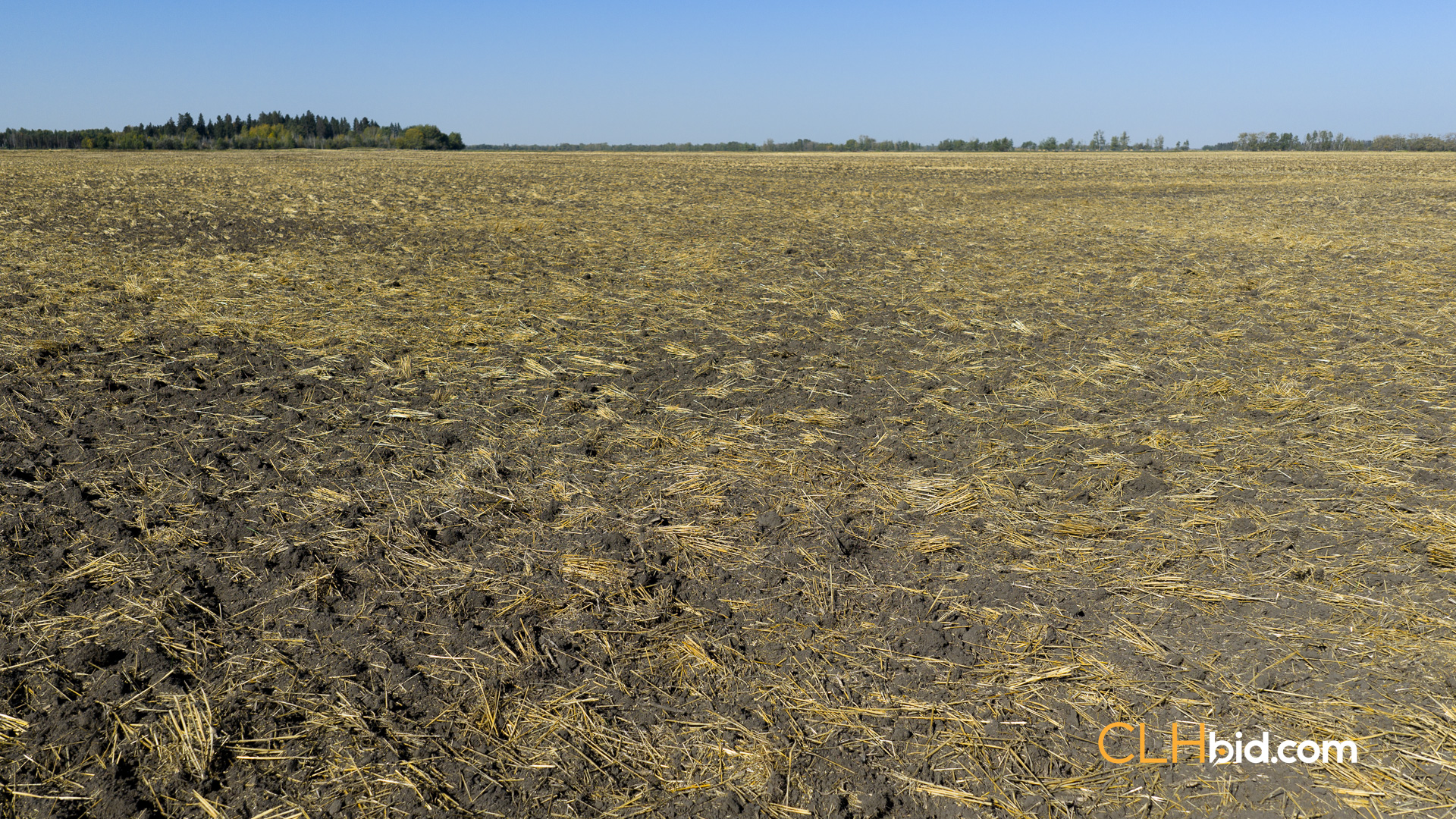 Web-WestlockUnlocked-13