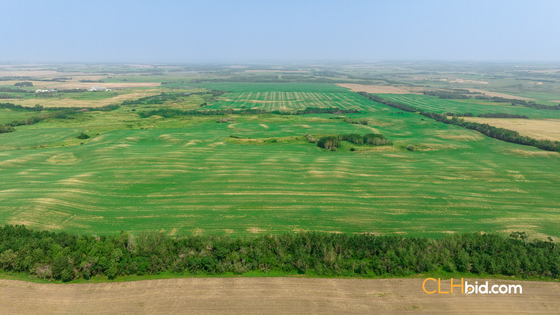 Web-Innisfree8Summer-54