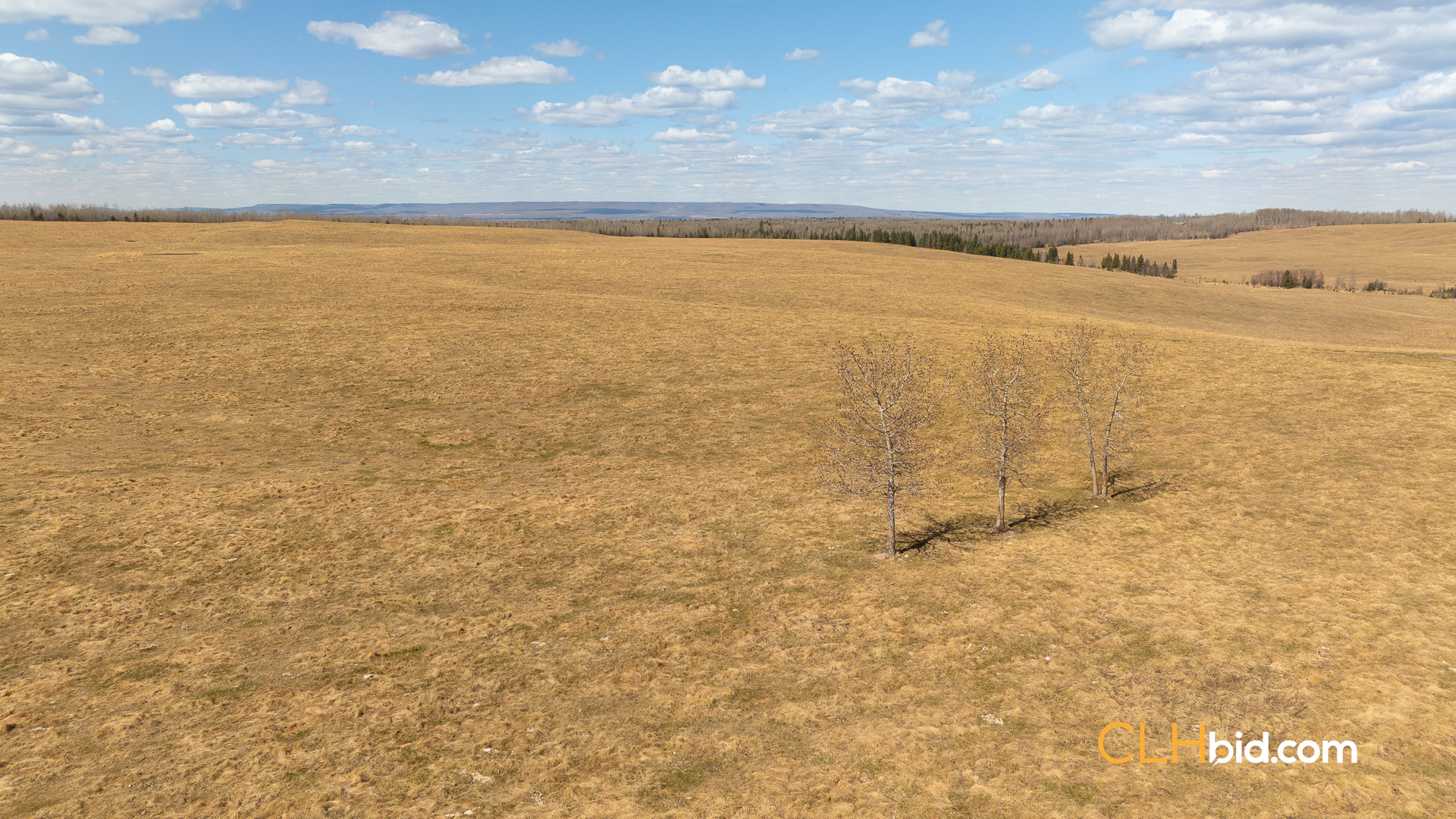 Web-GrazingGroundsNEW-10