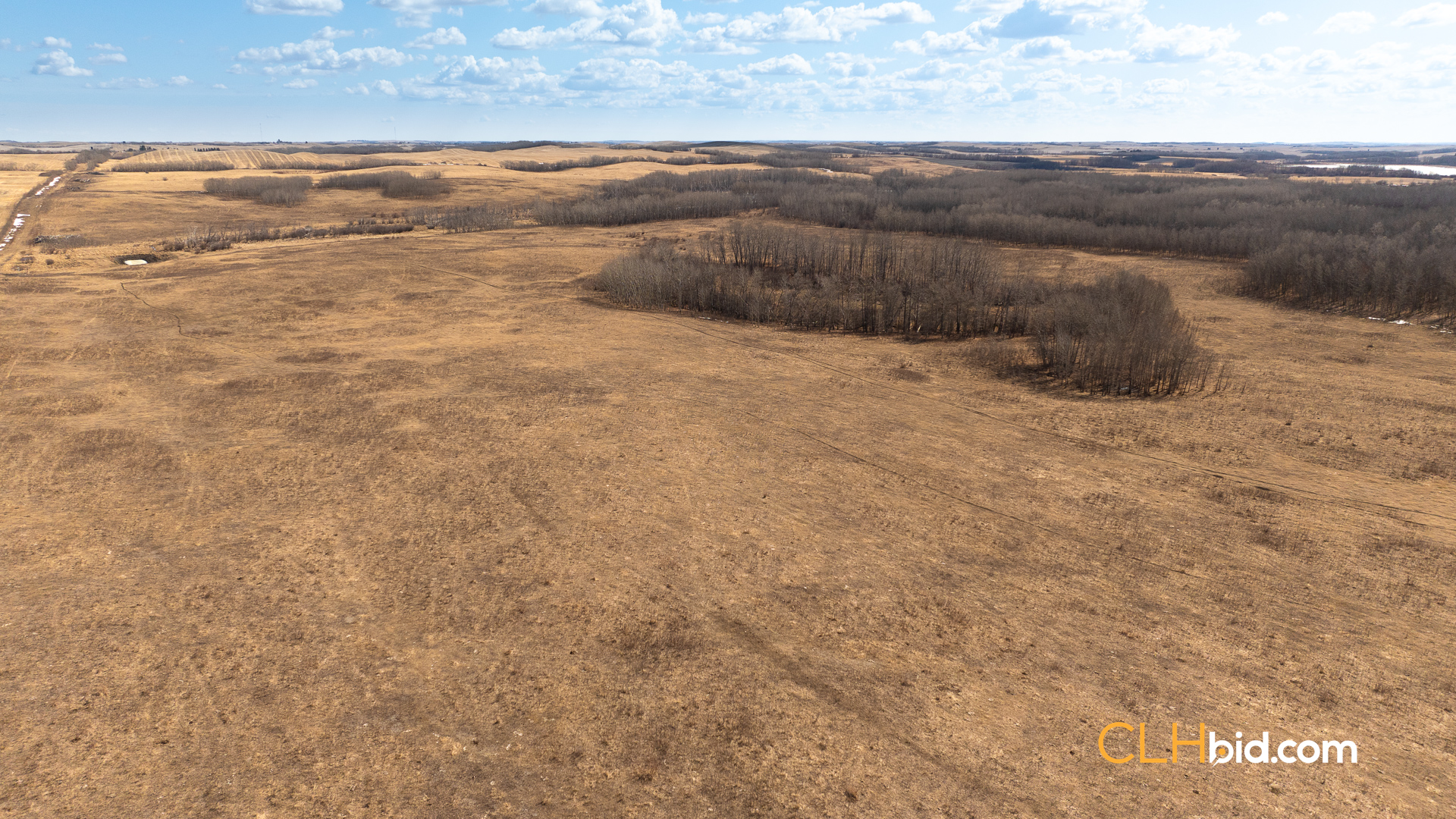 Web-VermilionSiesta-3