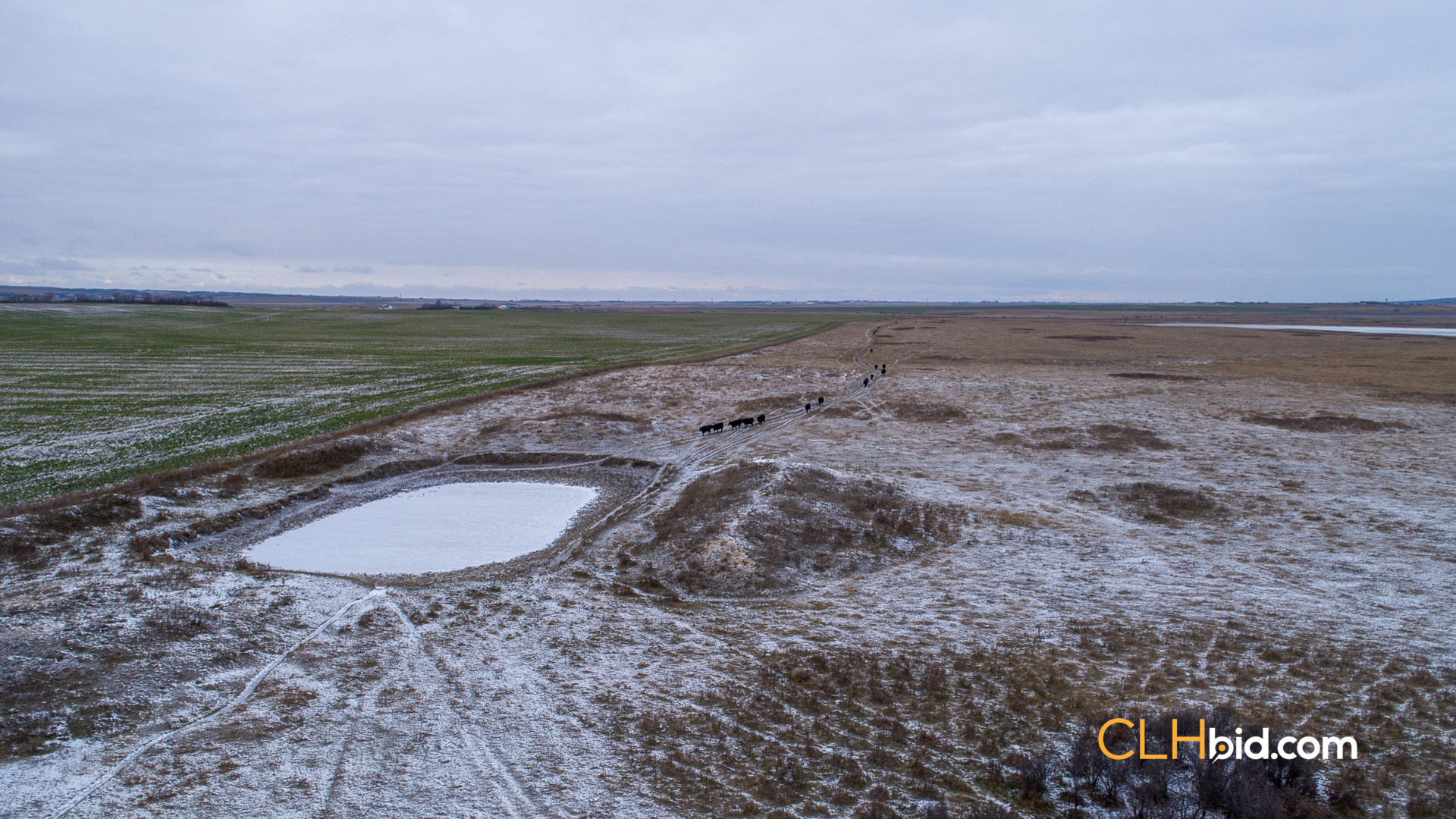 Web-Burke-Lake-Bonanza-17