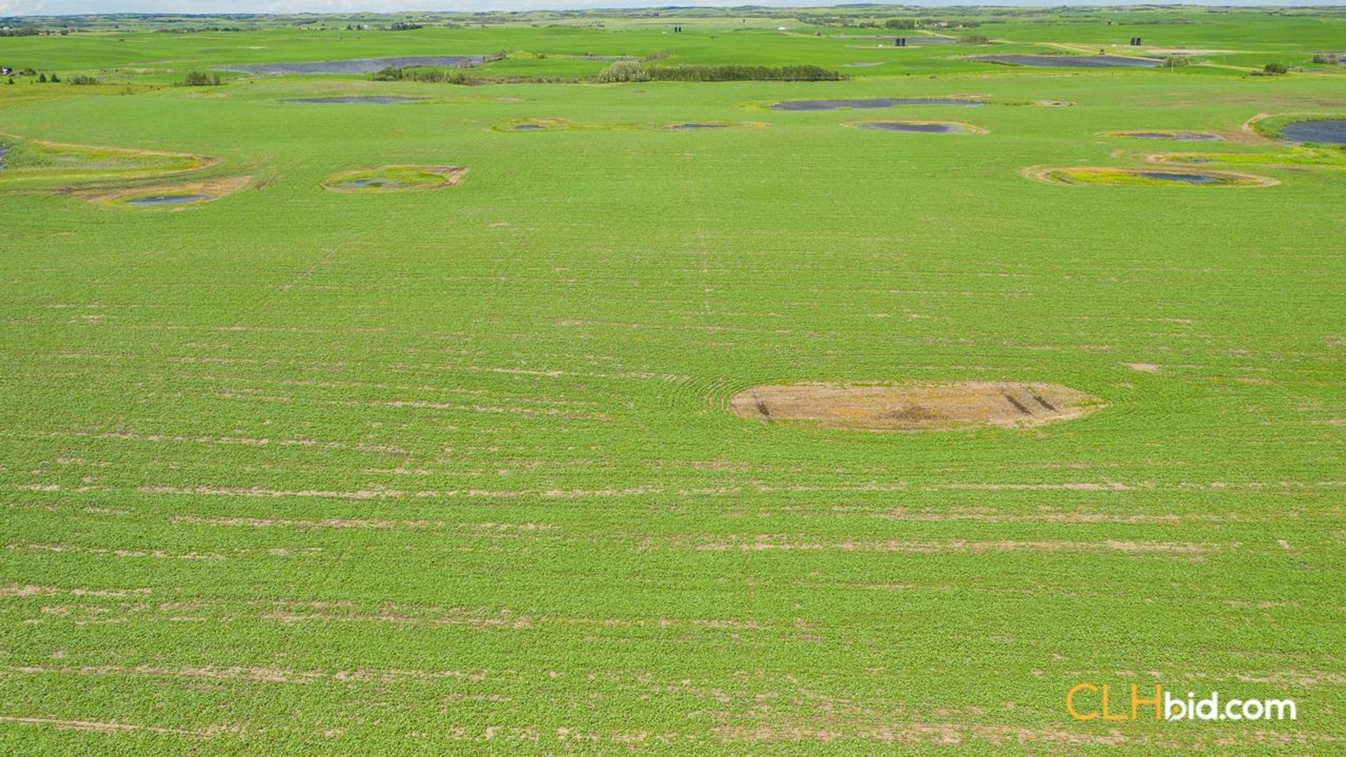 clandonaldcountrycousins-1-2