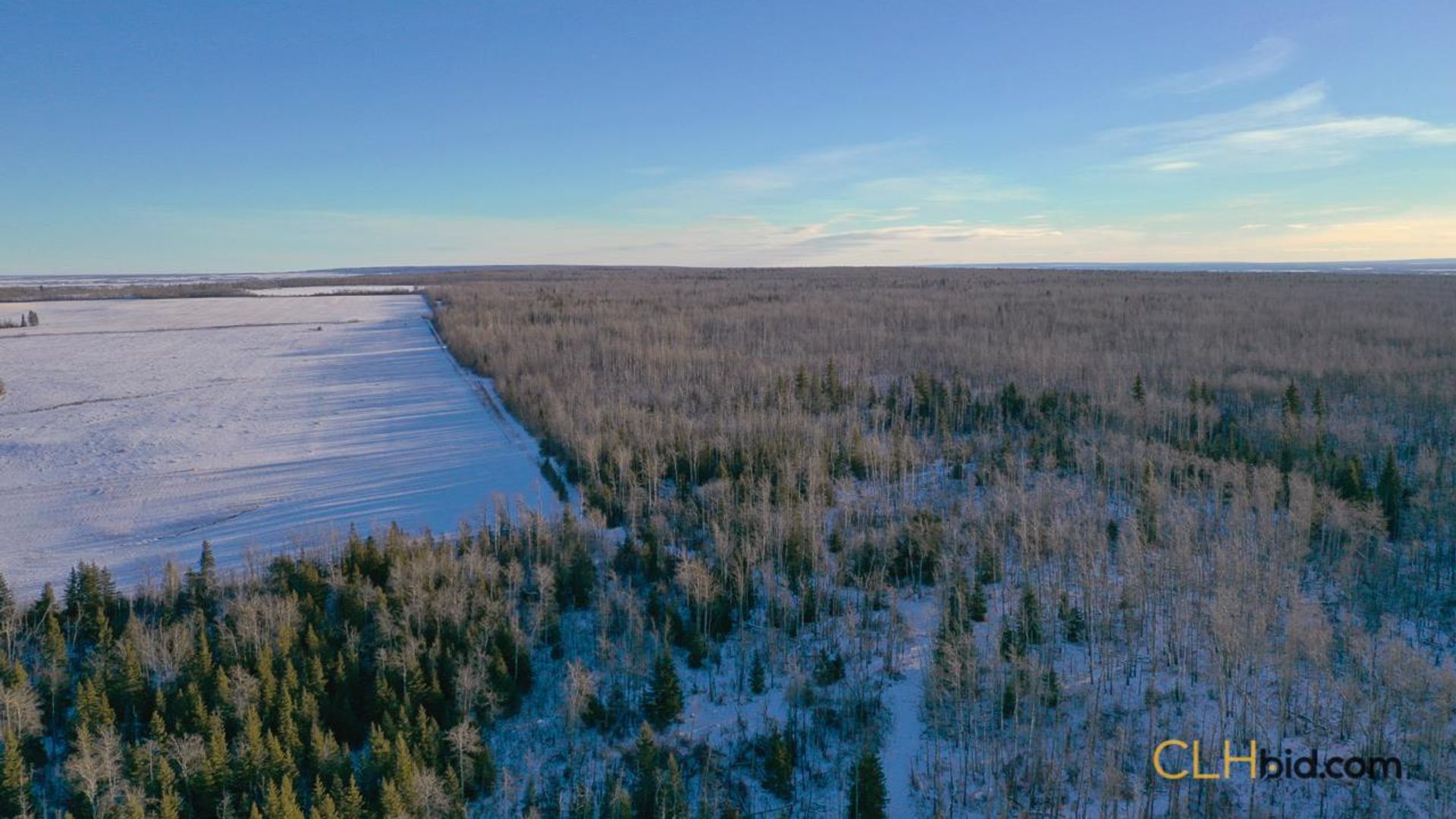 dreamershalfmile-1-7