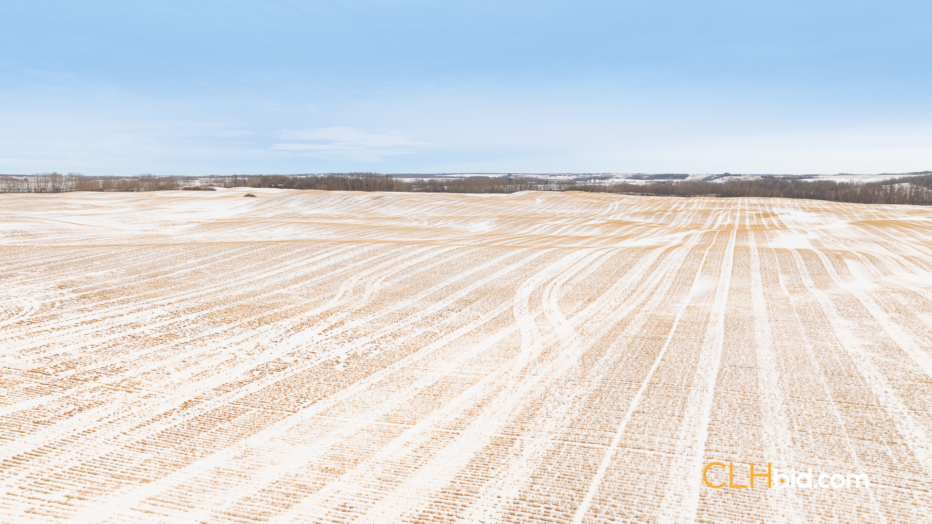 Web-InnisfreeBonus-10