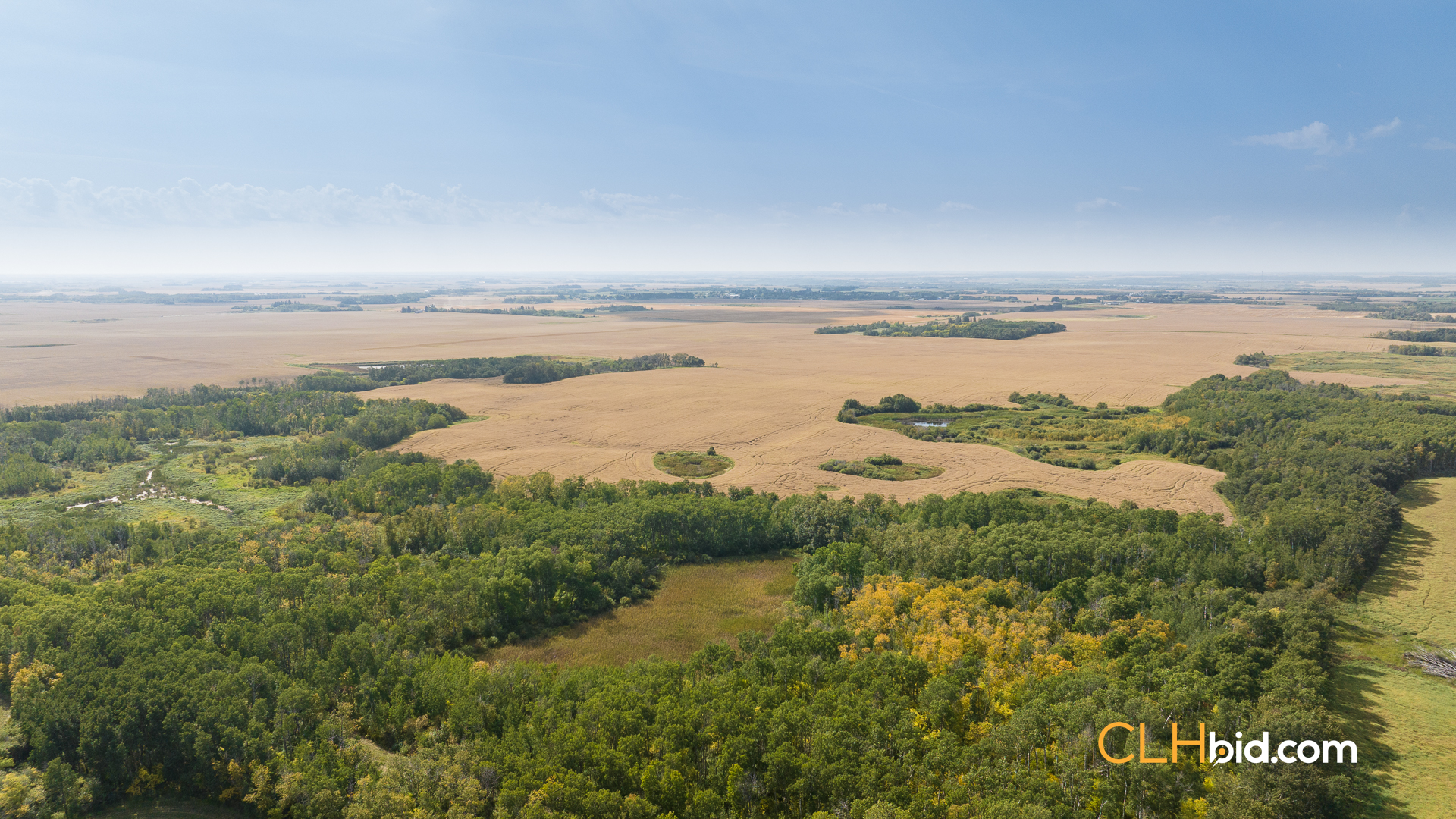 Web-RossburnPrimary-17