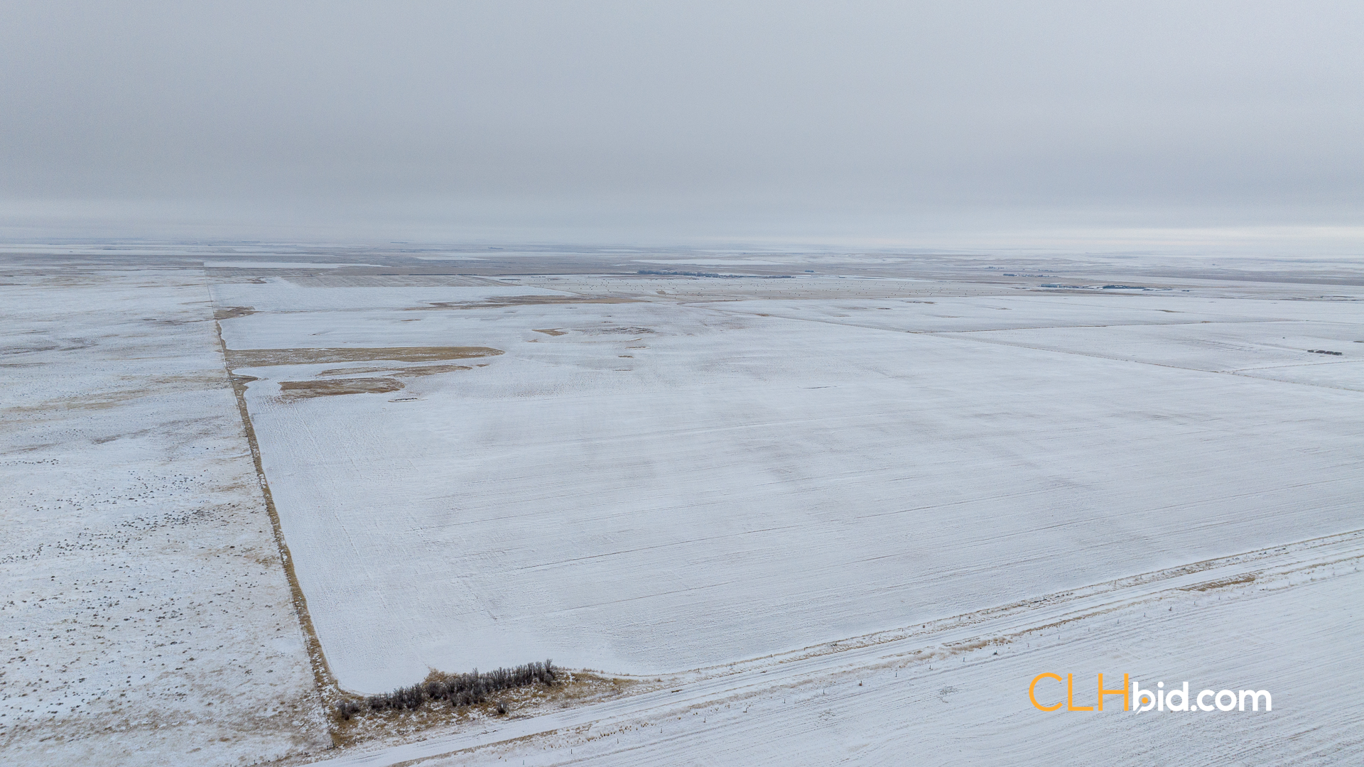 Web-Hazenmore-On-My-Mind-5