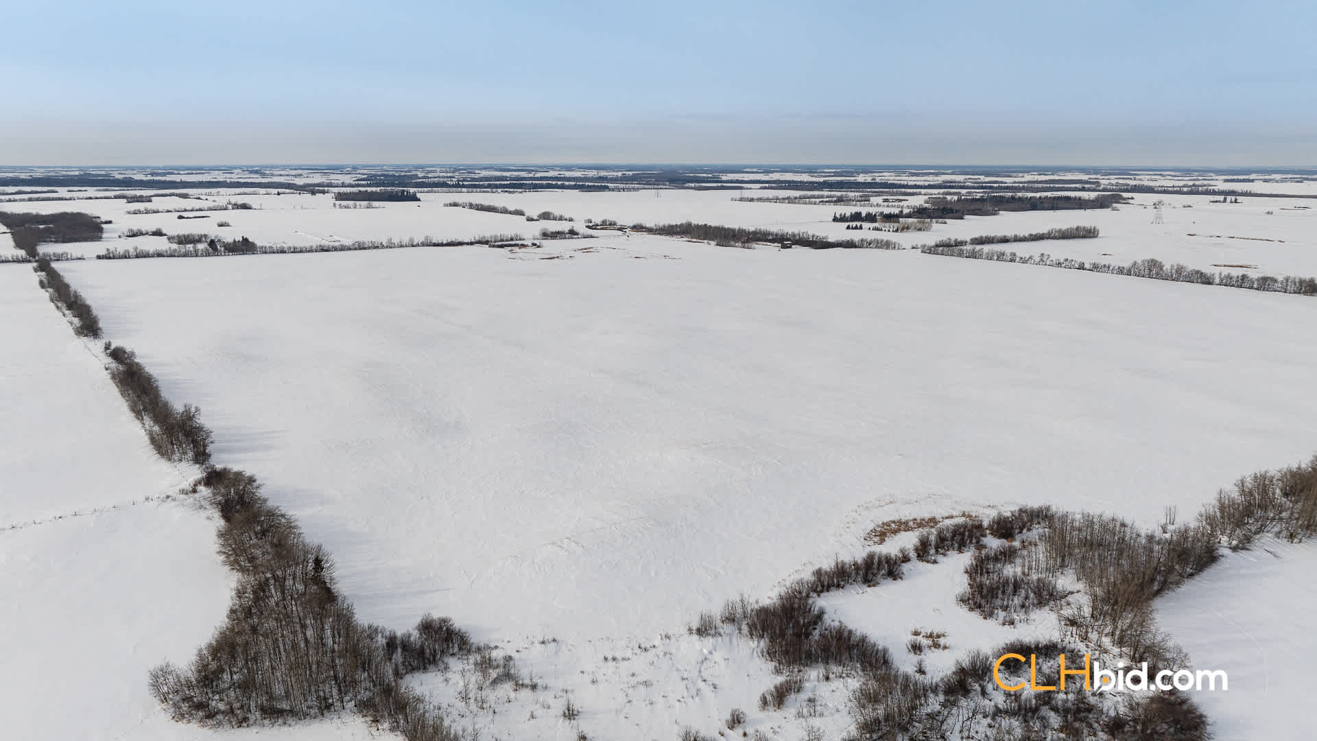 Web-LamontTopGrade-40