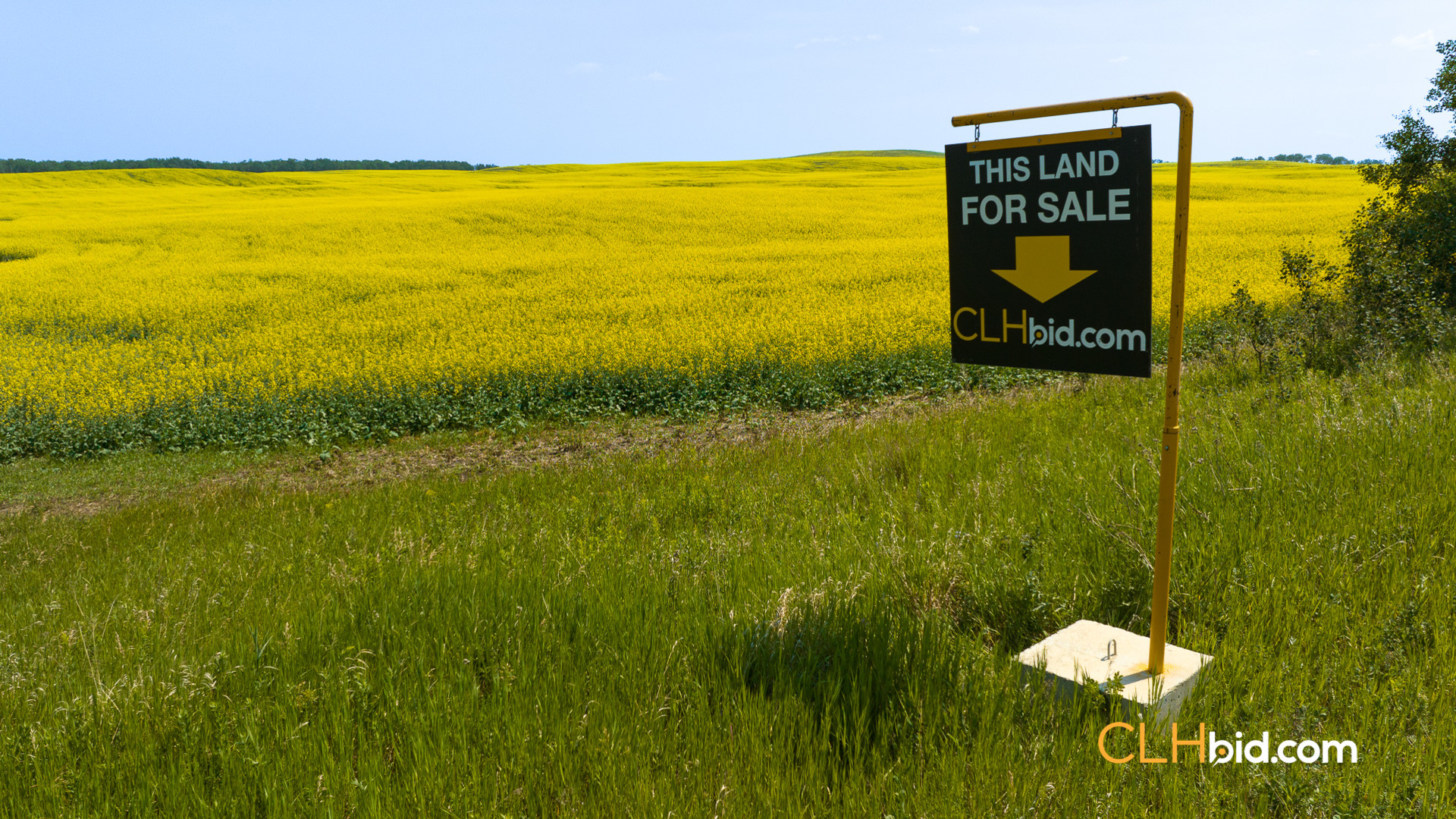 Web-InnisfreeWideOpen-8