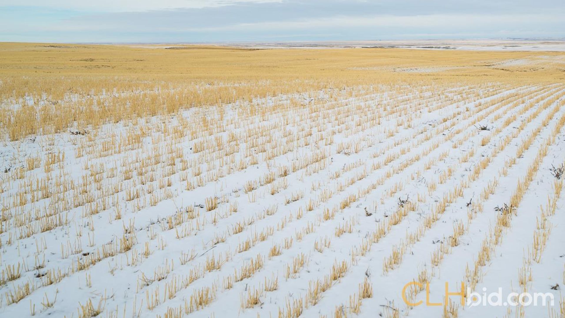 shadowsofthesweetgrasshills-2-4