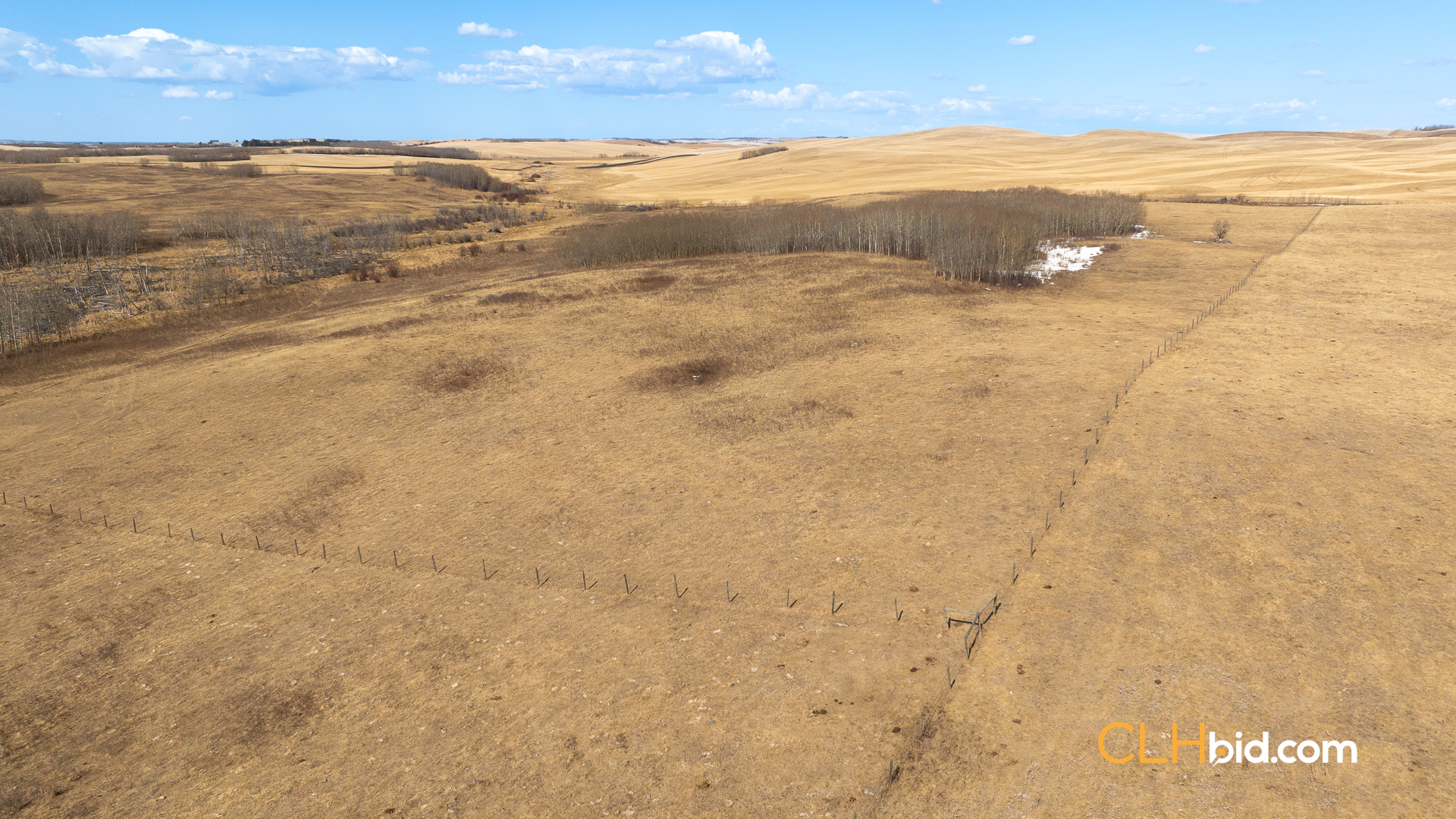 Web-VermilionSiesta-6