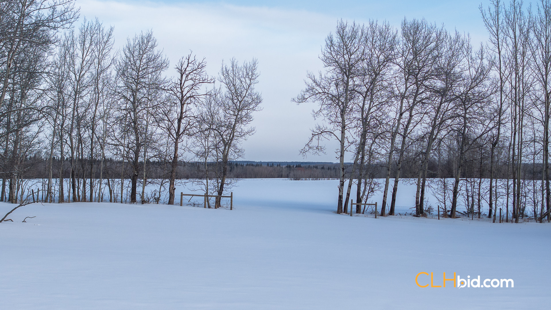 Web Unrestrained Funky-8