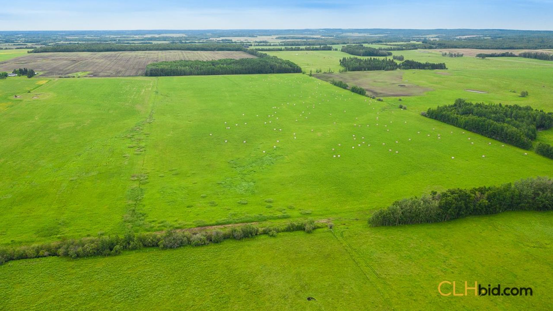 warburgdoubletree-1-4