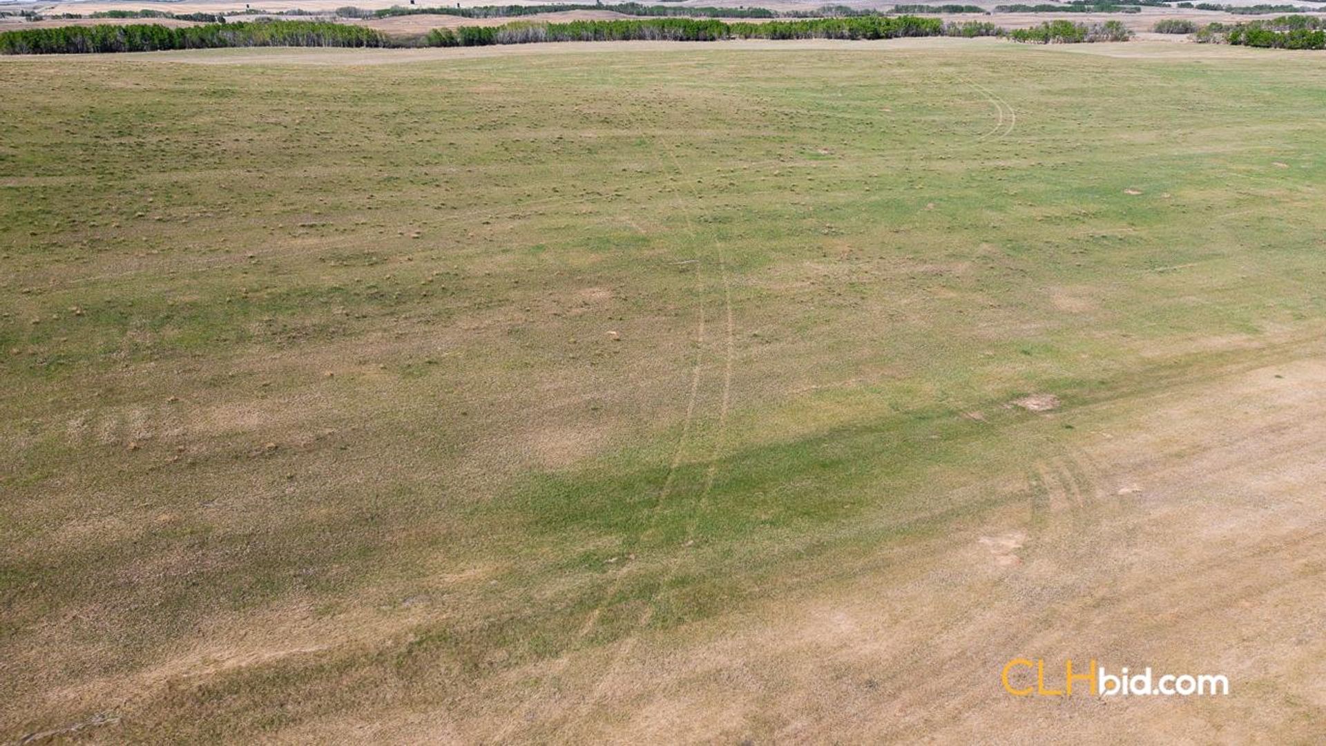 vermilionunbridled-1-3