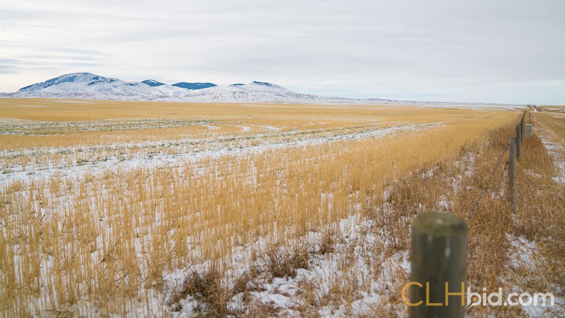 shadowsofthesweetgrasshills-2-6