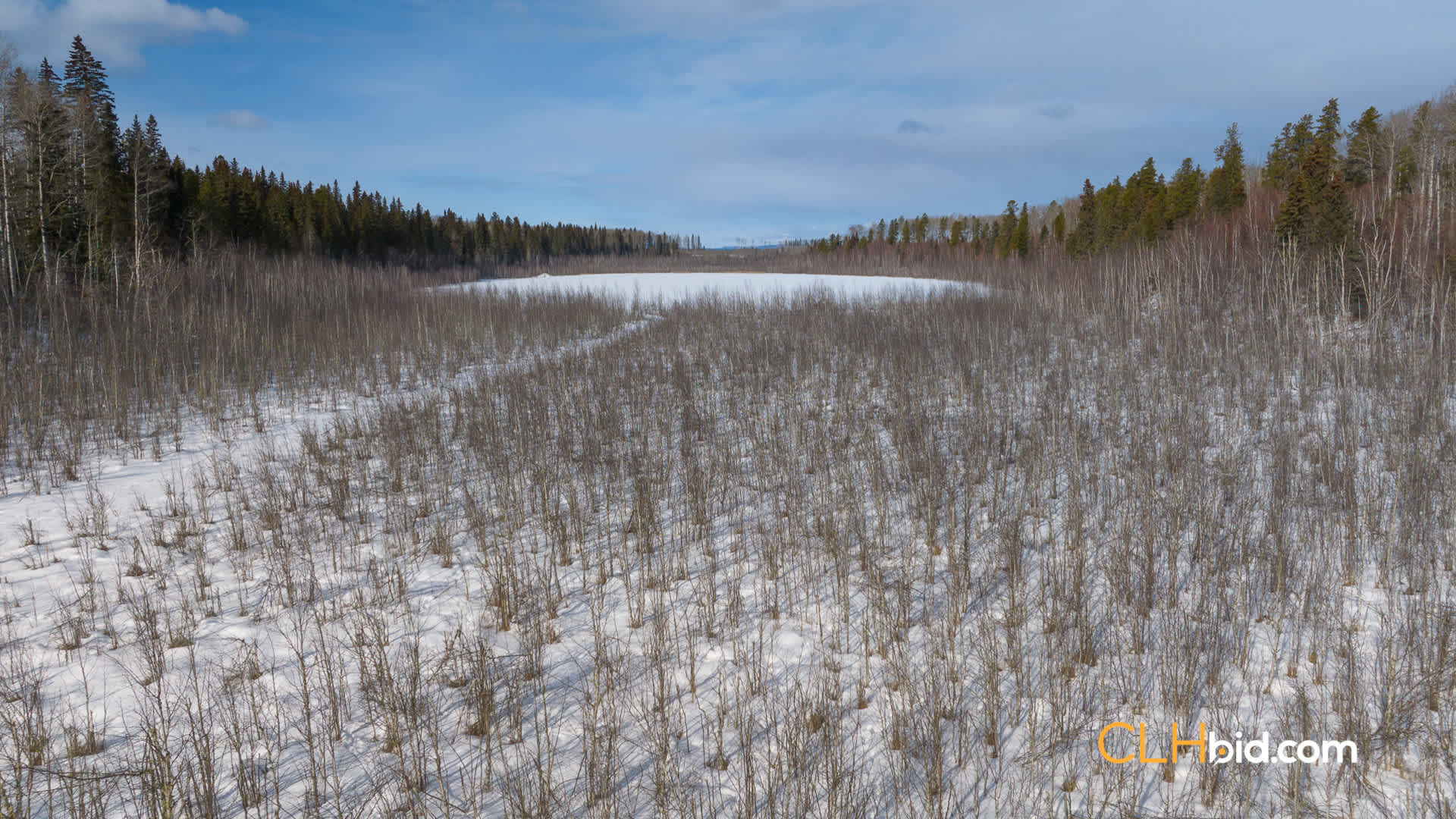 Web-HorseshoeLake-2