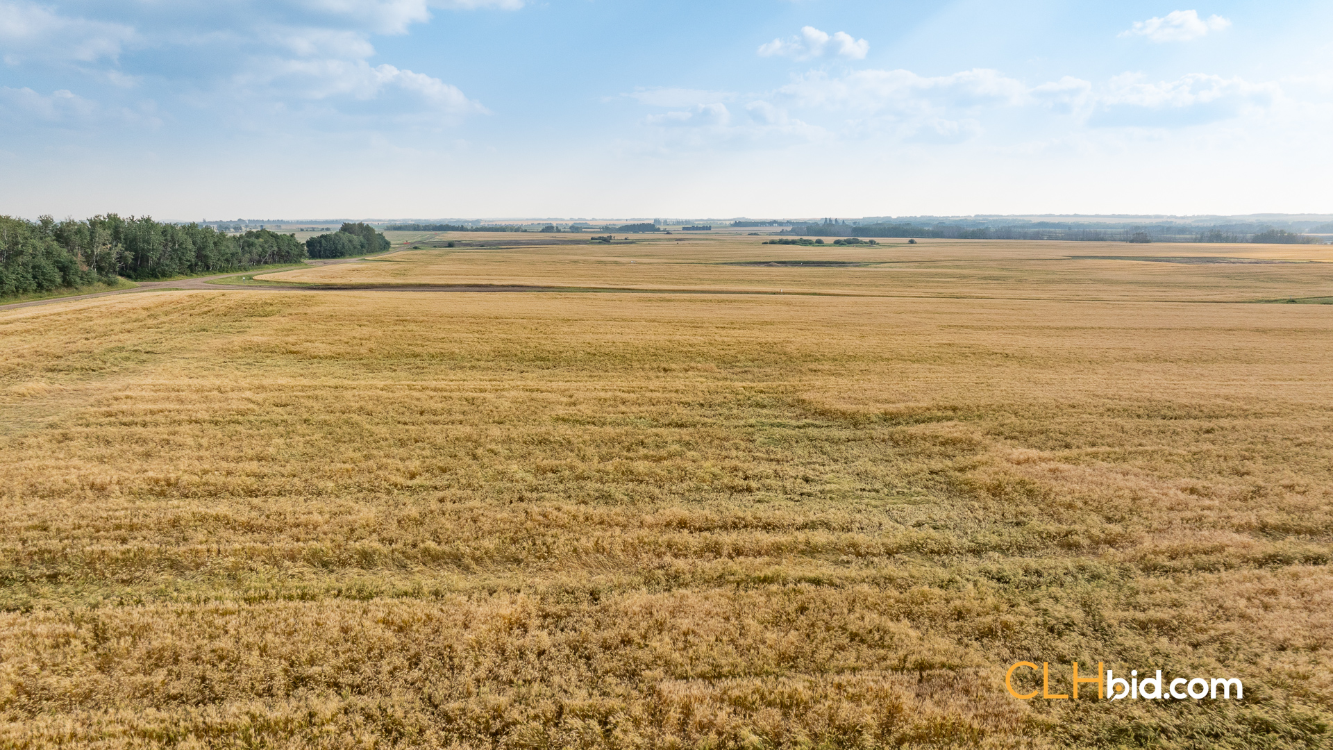 Web-CountyLineInvestor-14