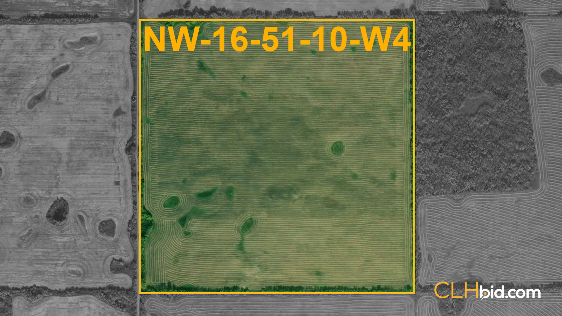 GORDA - WIDE - Contentful