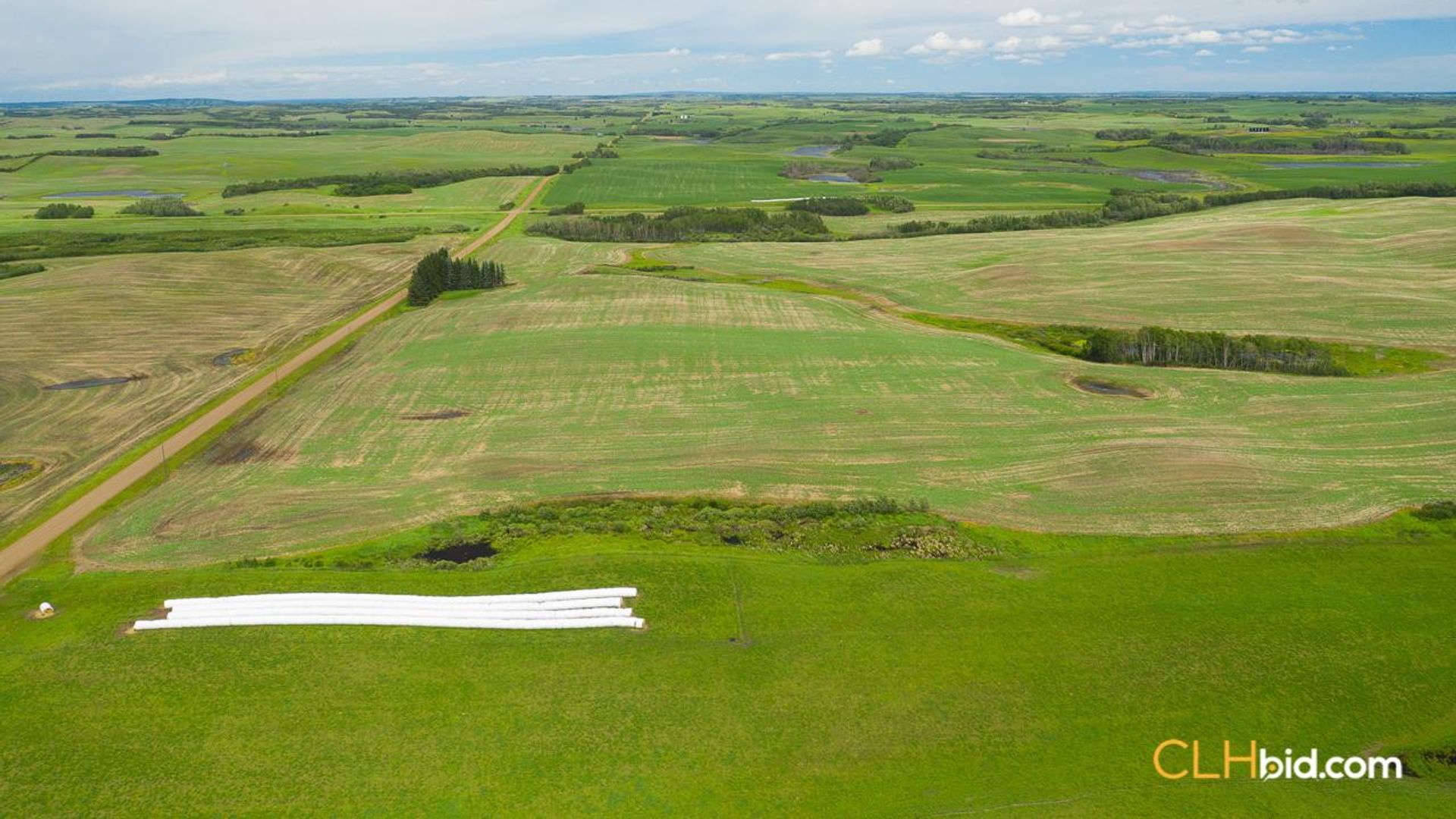 clandonaldcountrycousins-2-10