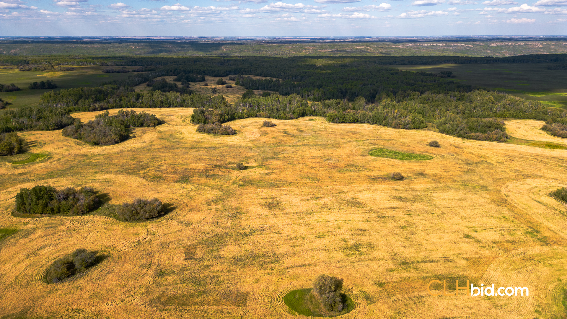 Web Wanham Expander-3