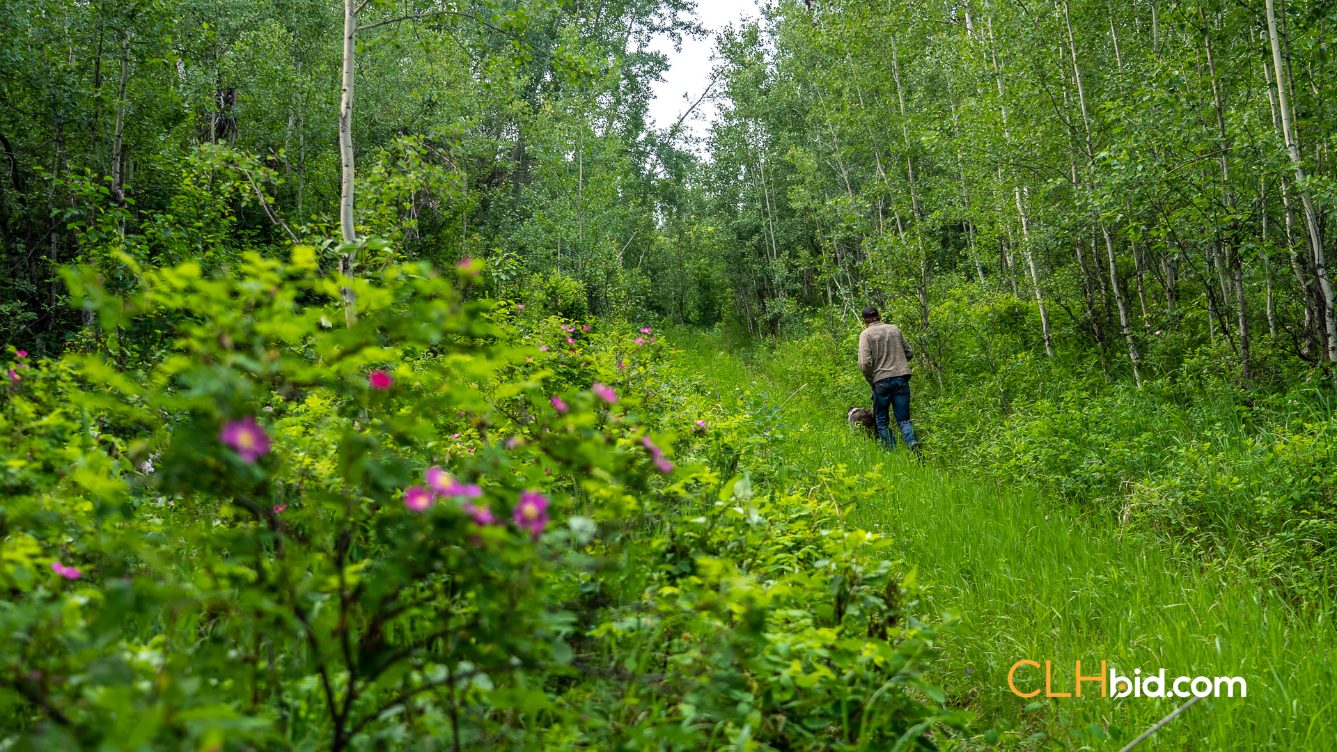 Web Off The Radar-13