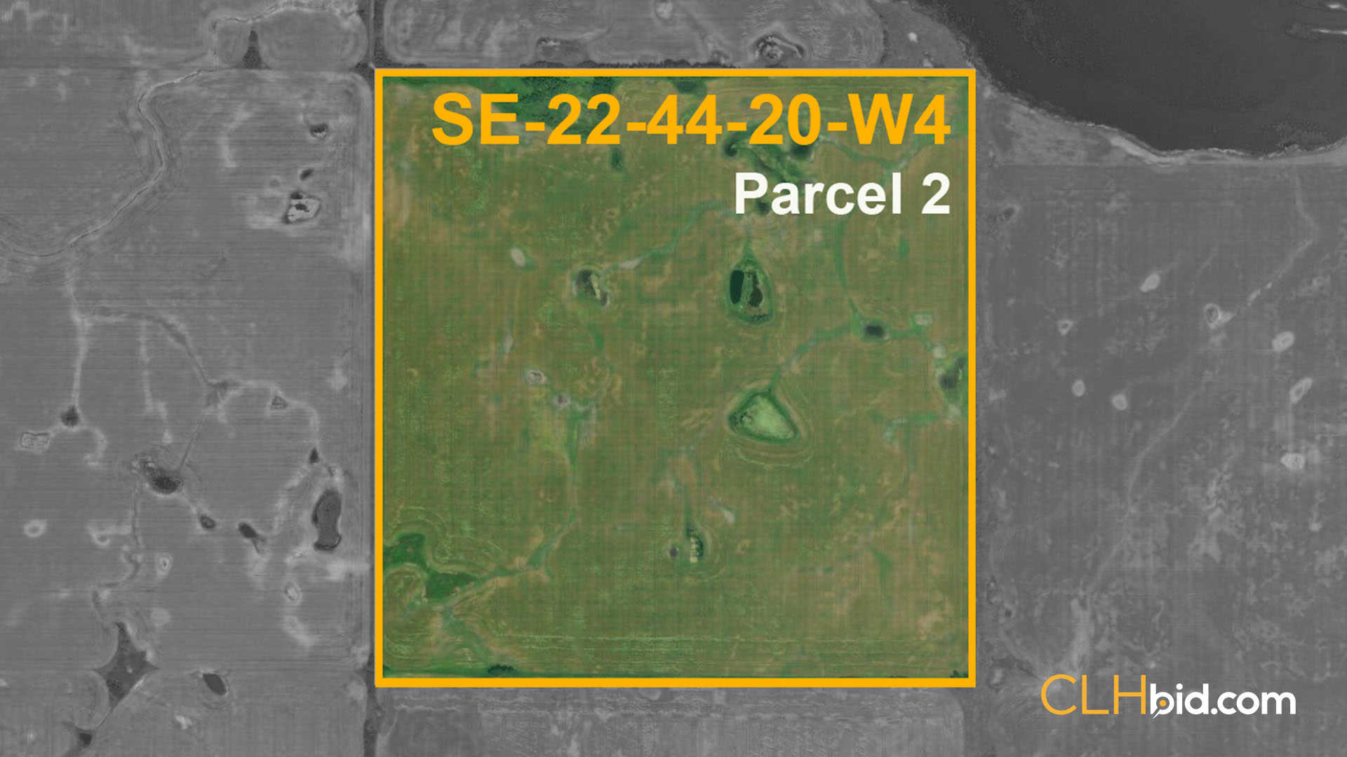 Five Star Plus P2 - WIDE - Contentful