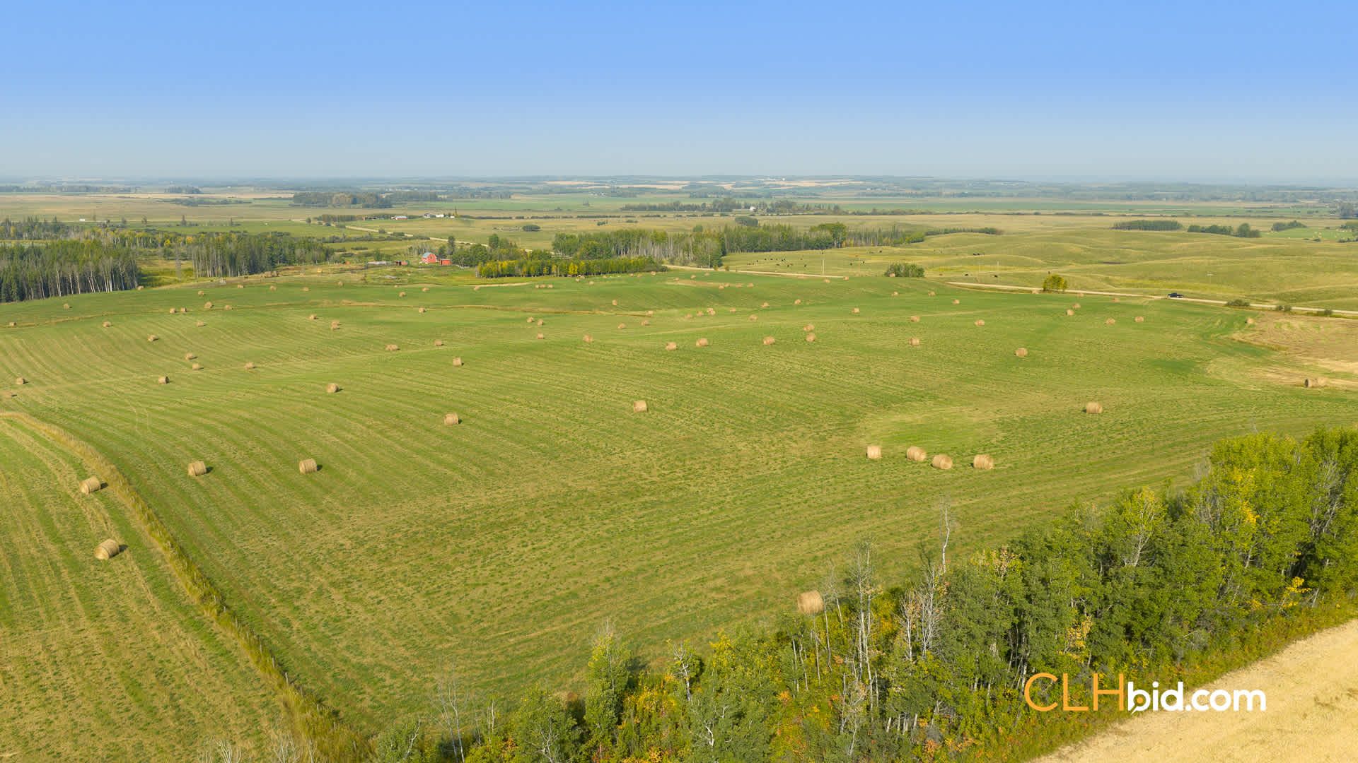 Web-Homestead Horizon-13