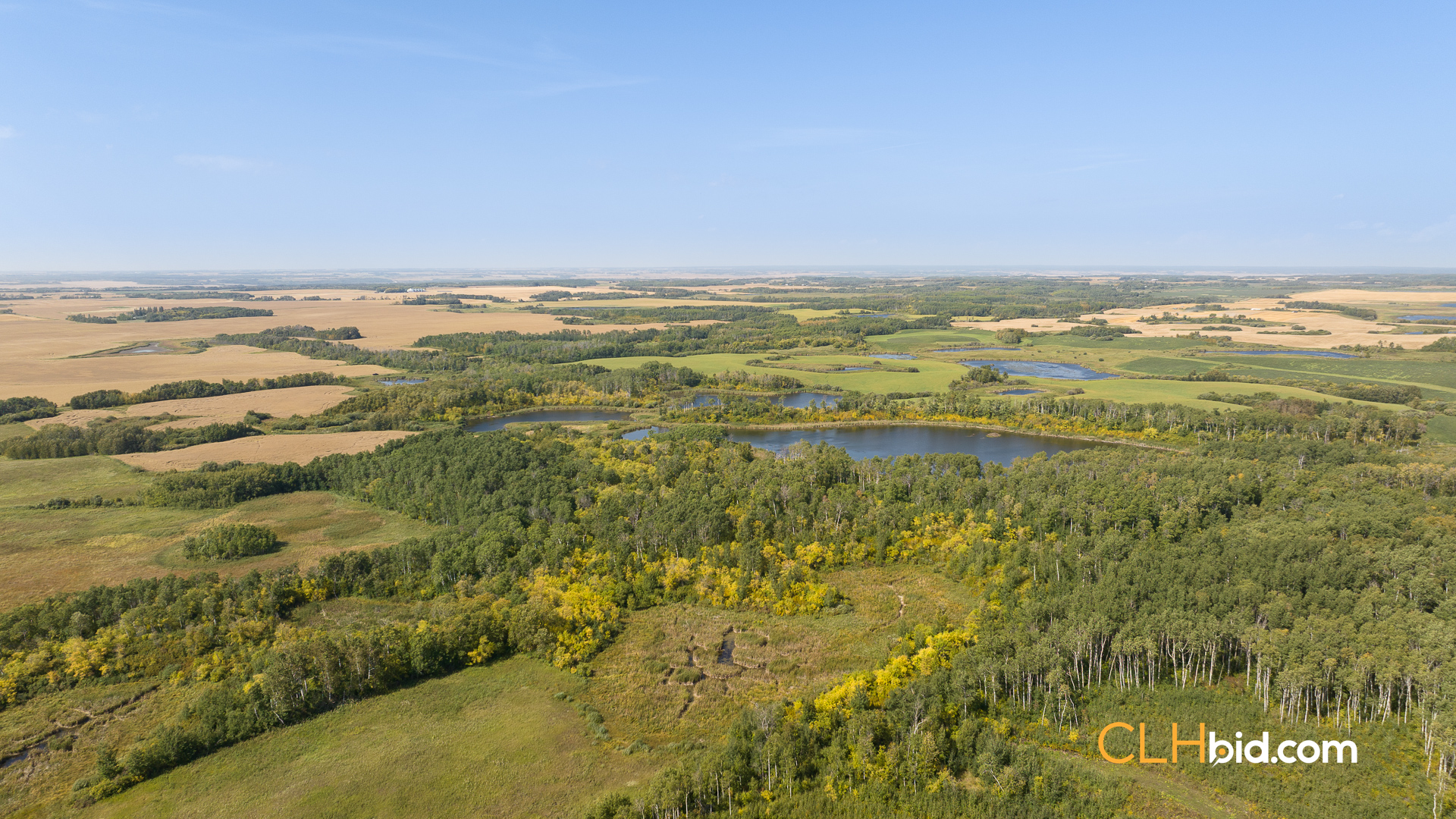 Web-RossburnPrimary-7