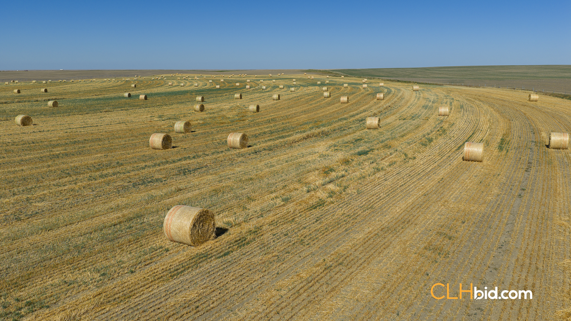 Web-MegaFortyMile-53