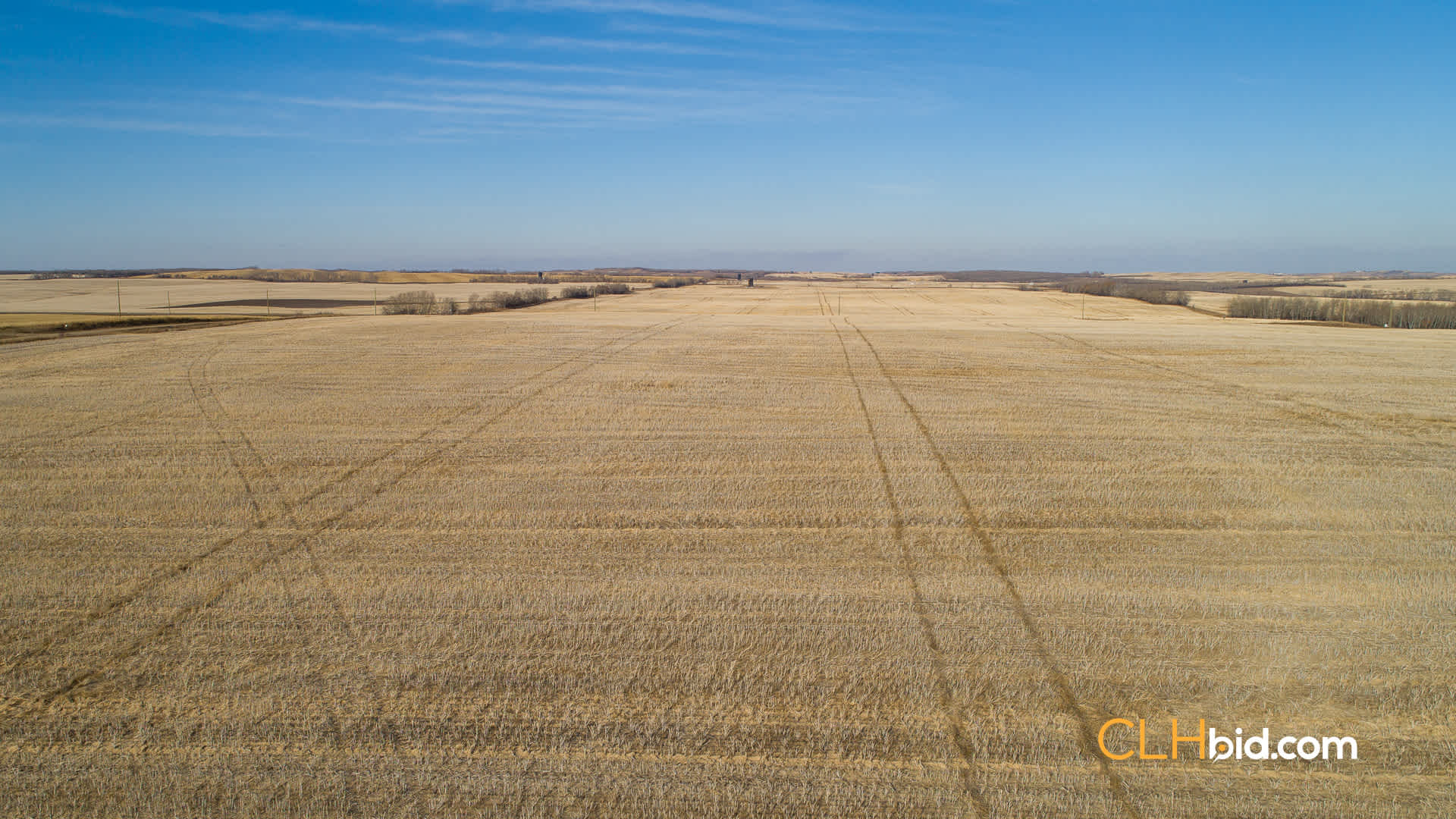 Web-Nine-Of-Diamonds-5