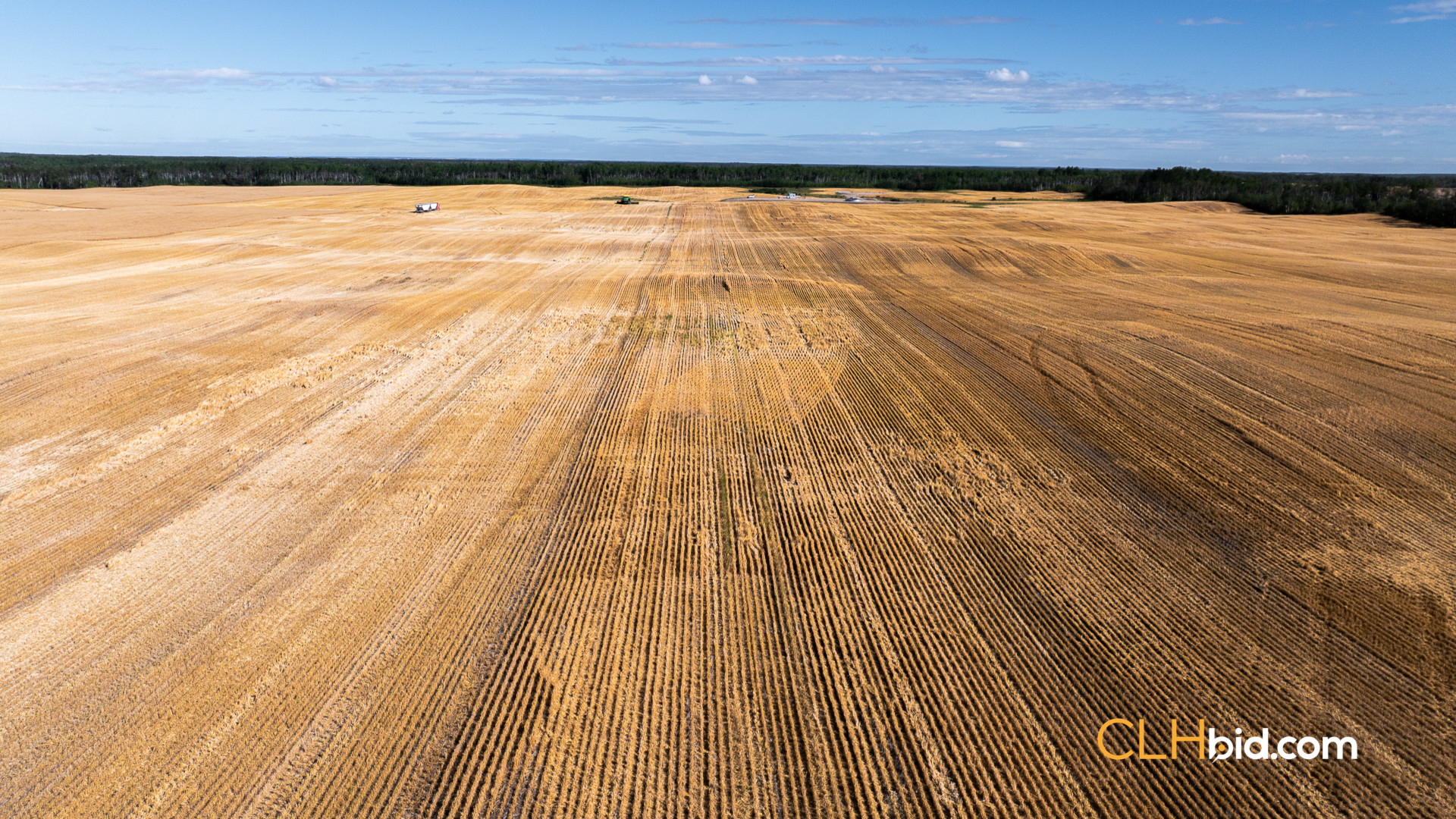 Web Veteran Legacy-18