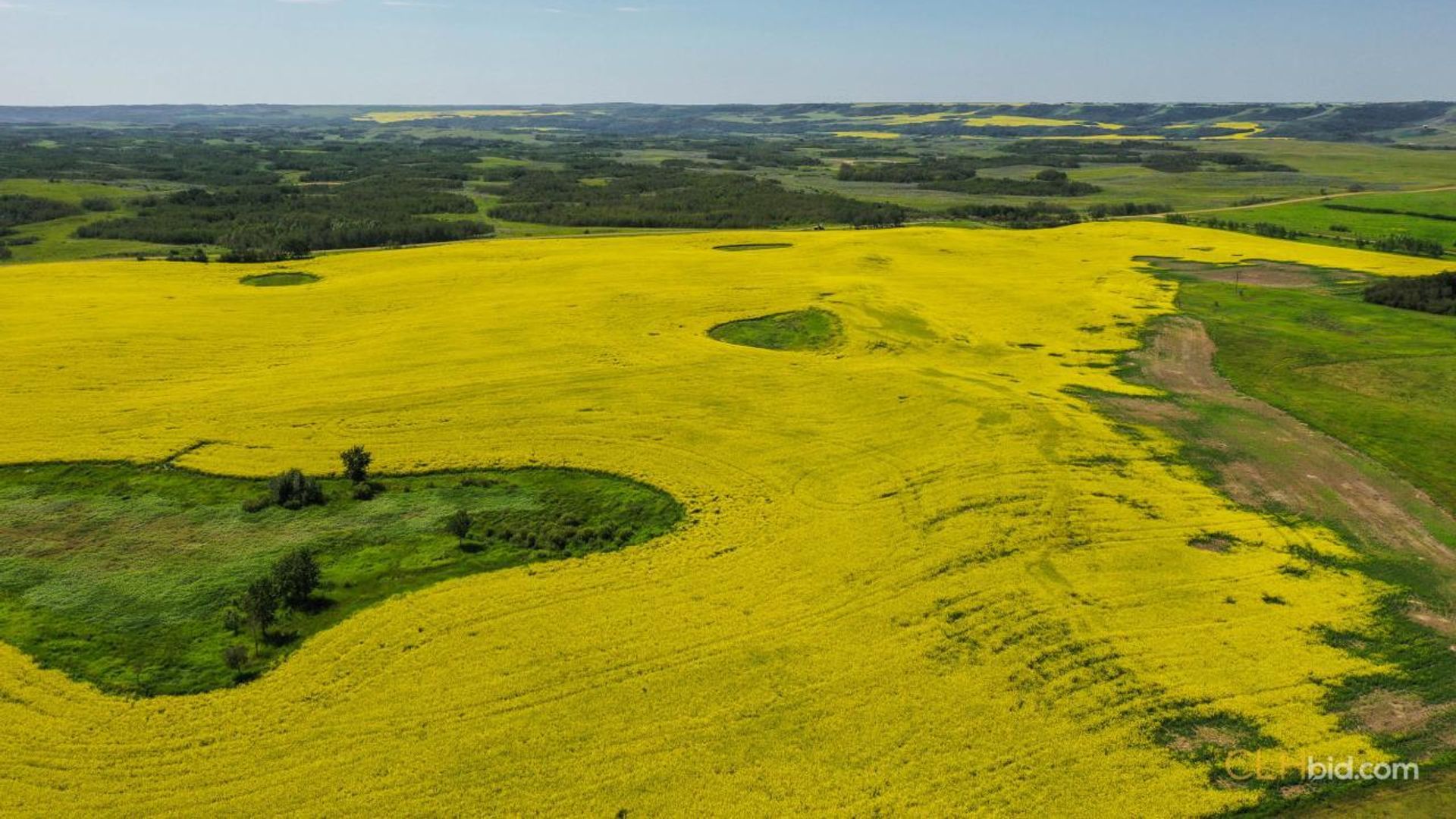 lazyadiamondranch-1-3