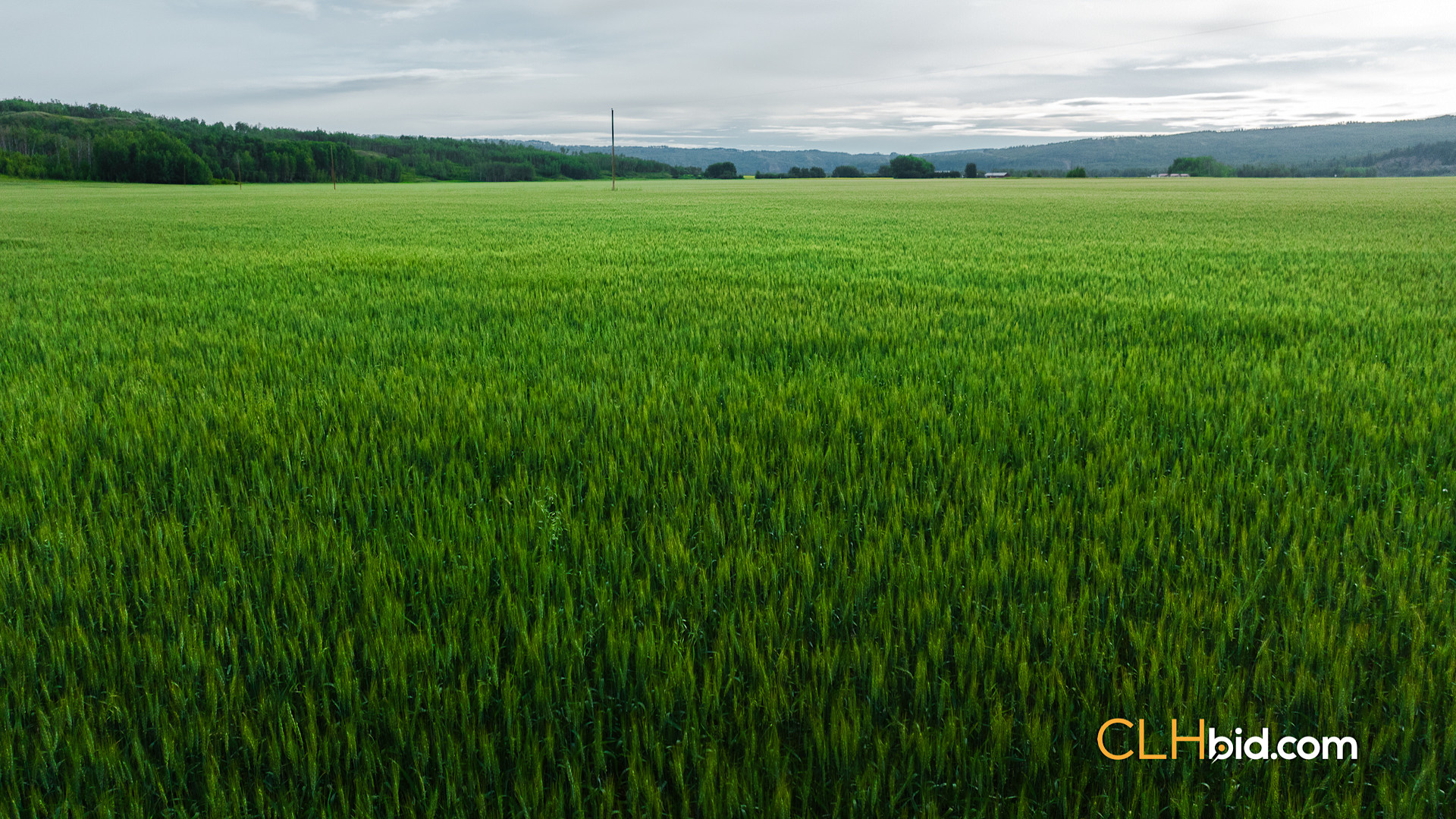 Web The West Bank-12