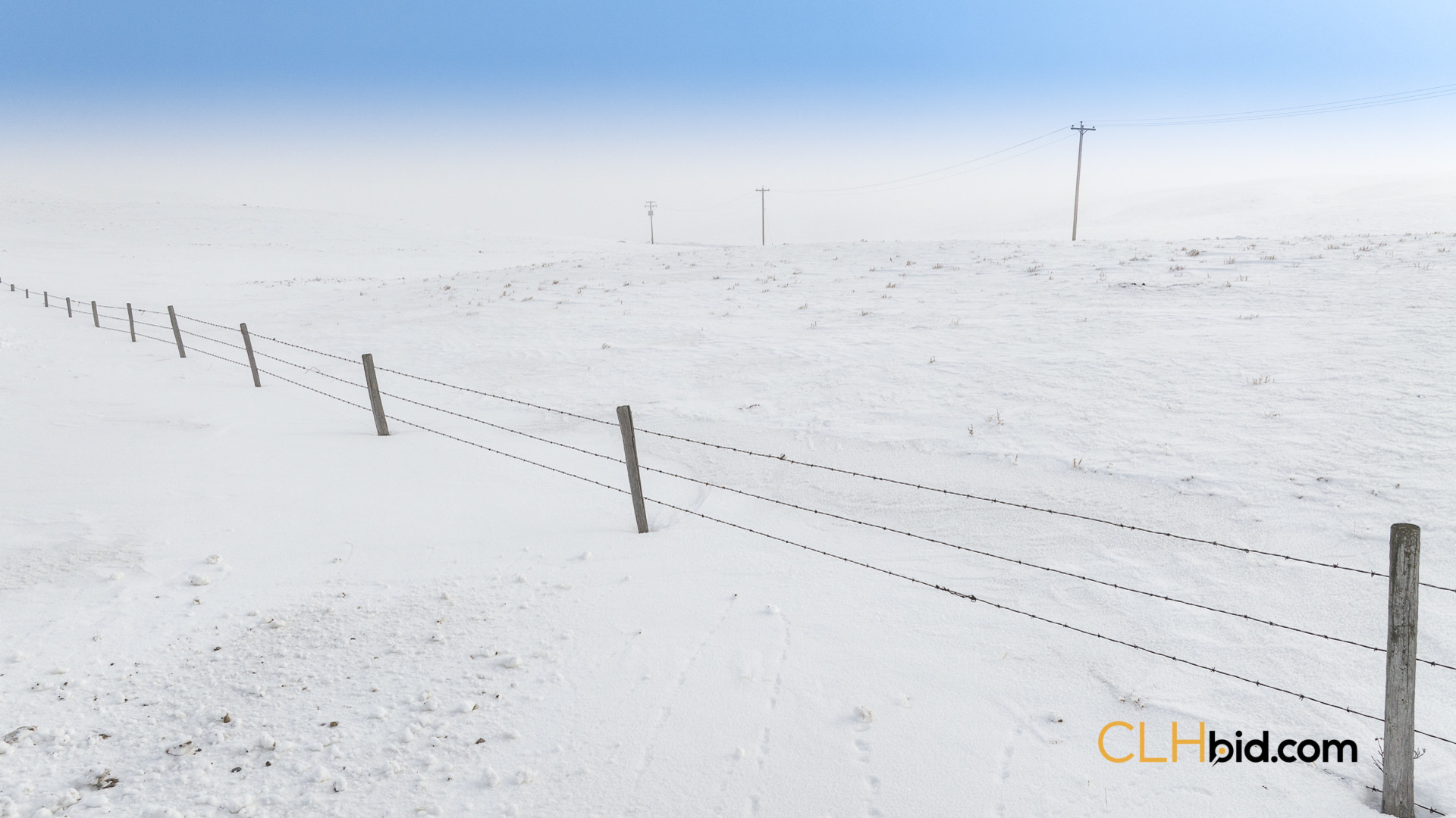 Web169-AcresOfPedigree-56